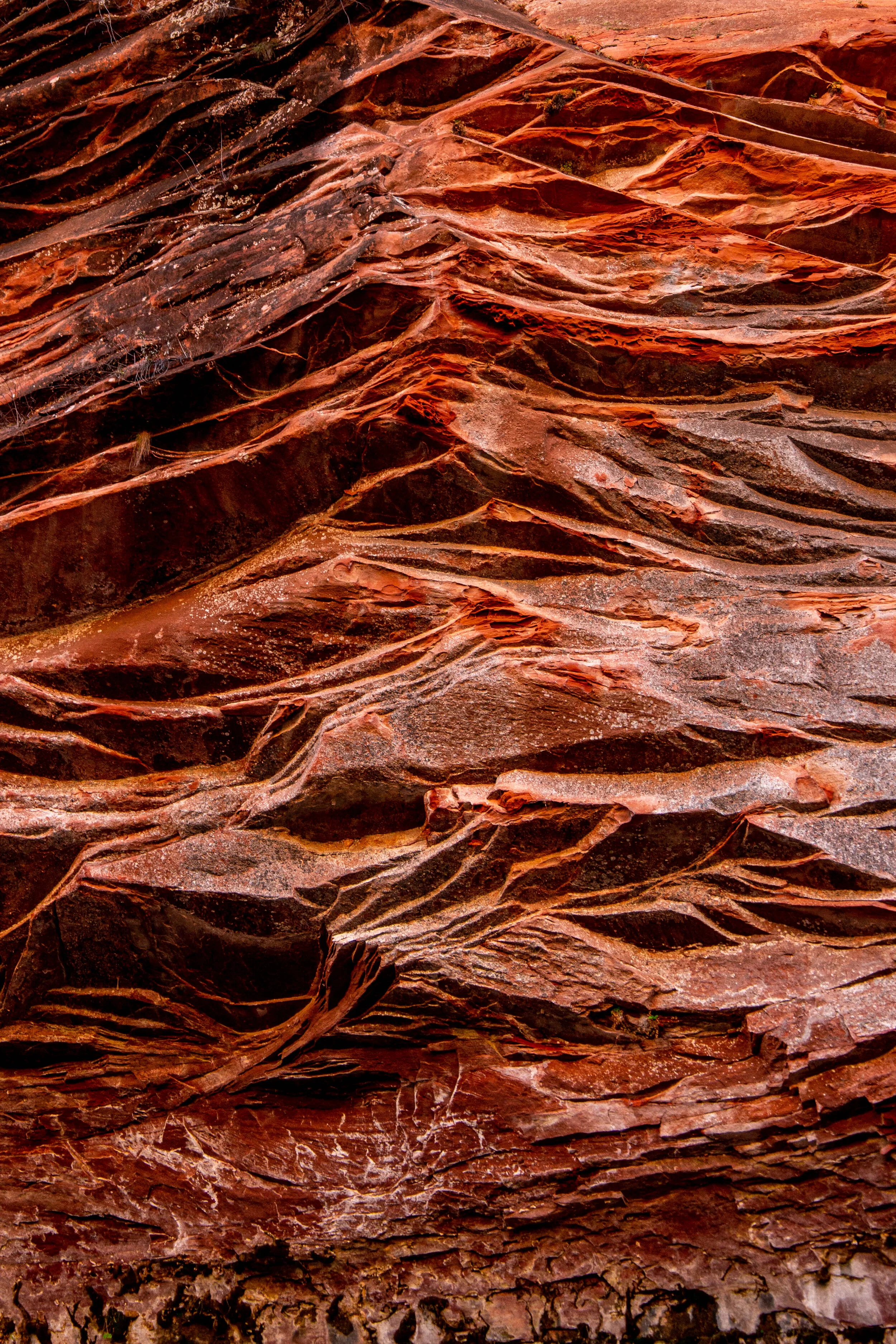 Arizona Selected-006.jpg