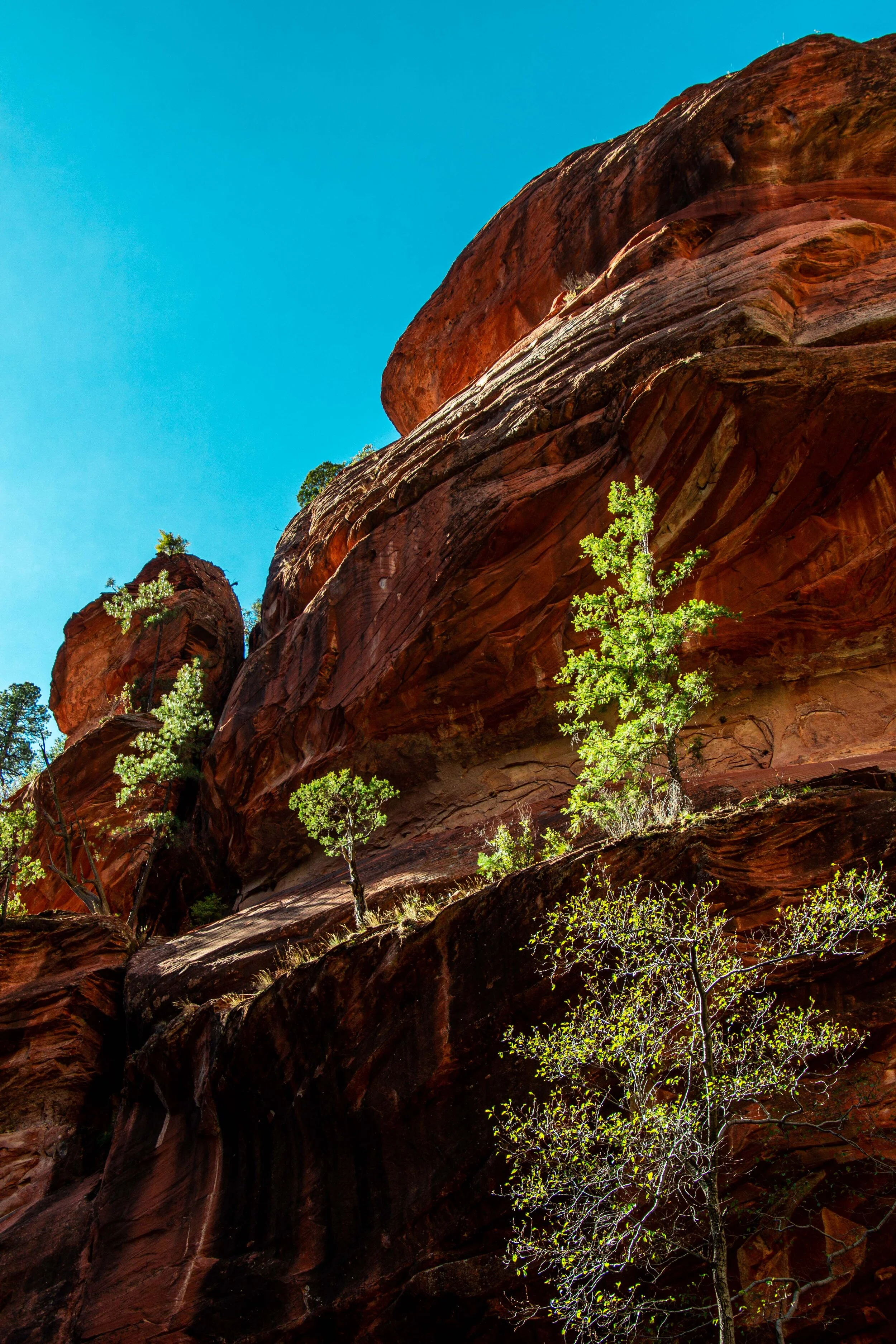 Arizona Selected-008.jpg