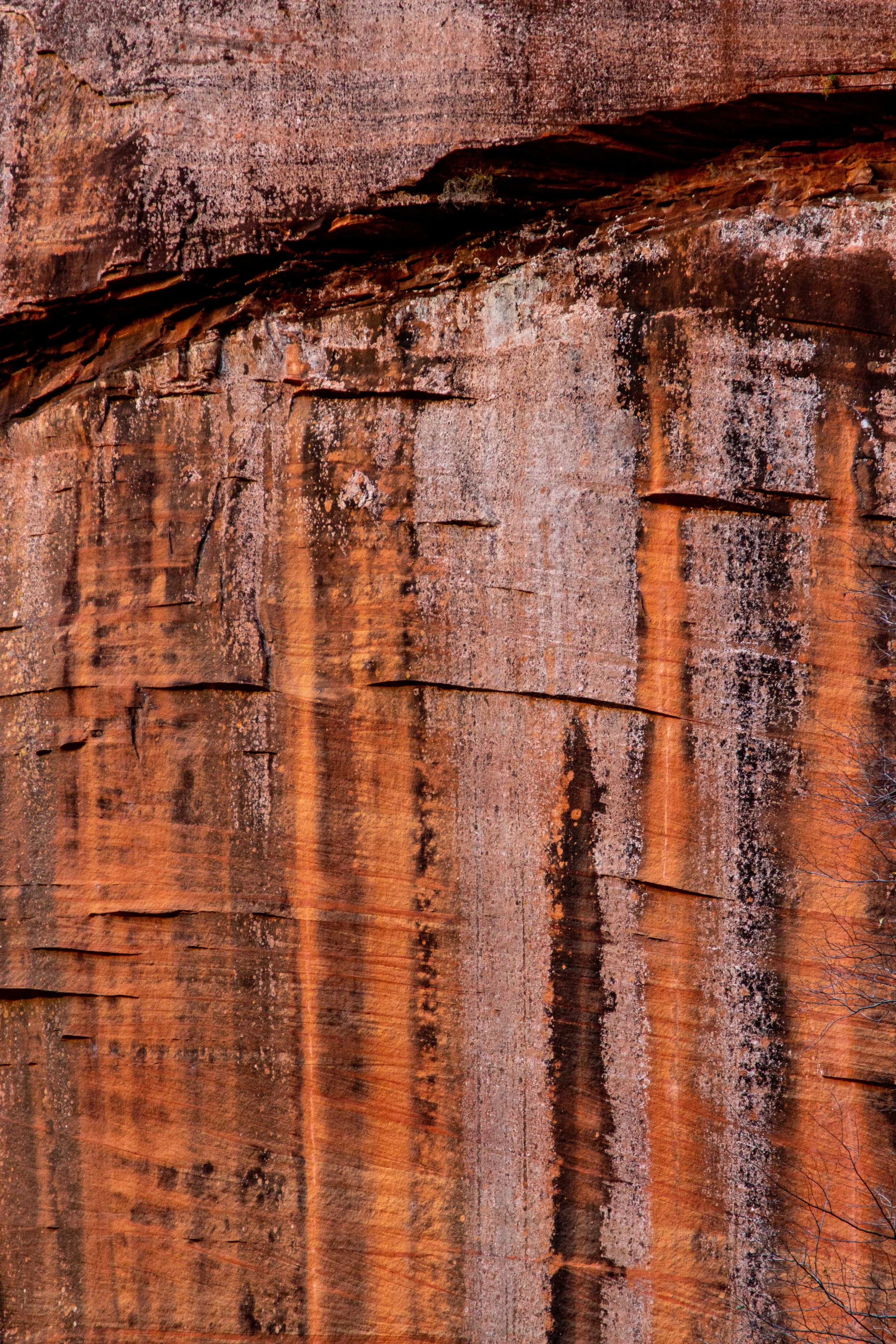 Arizona Selected-007.jpg