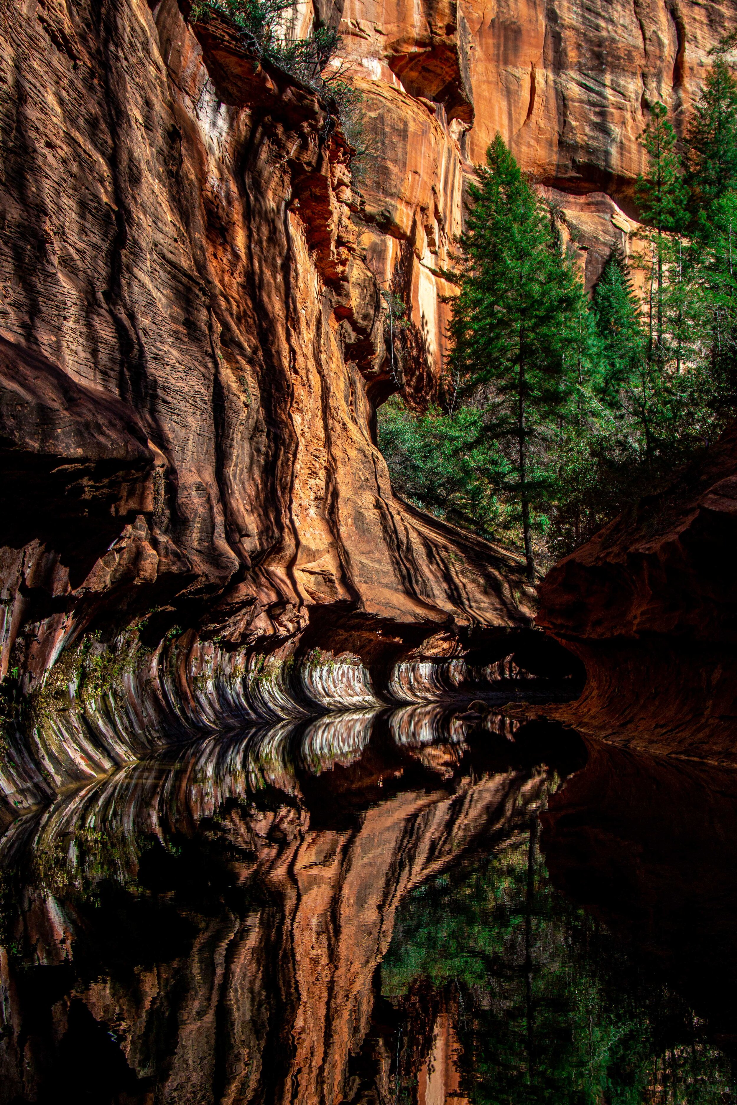 Arizona Selected-010.jpg