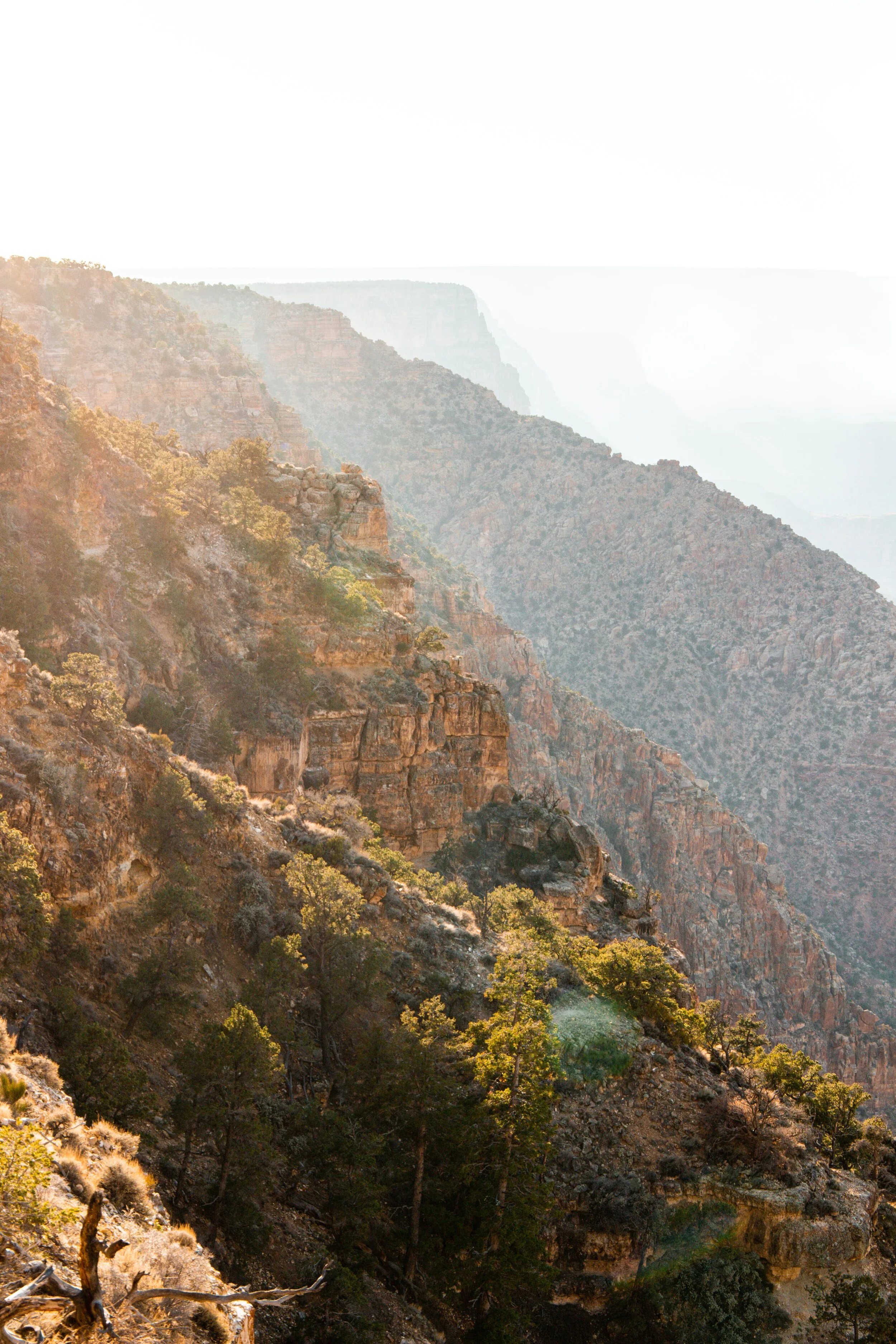 Arizona Selected-015.jpg