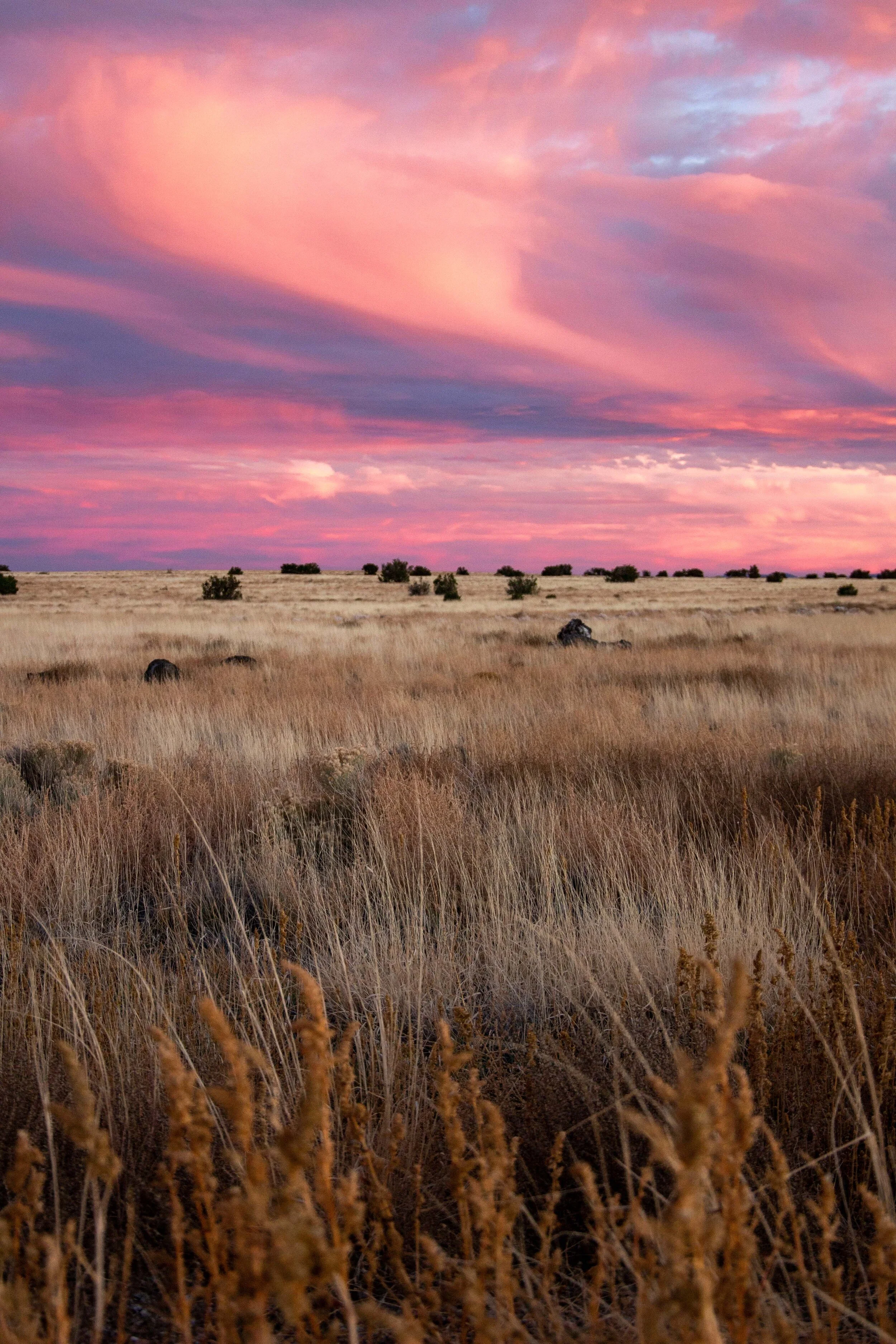 Arizona Selected-021.jpg