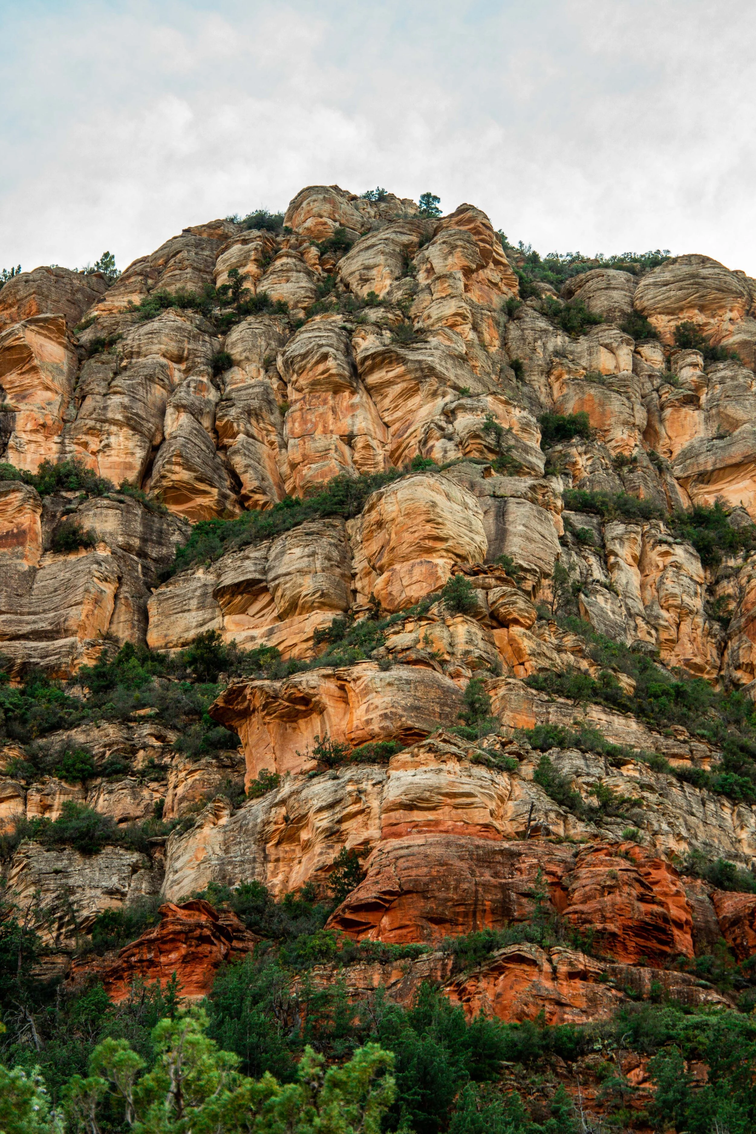 Arizona Selected-024.jpg