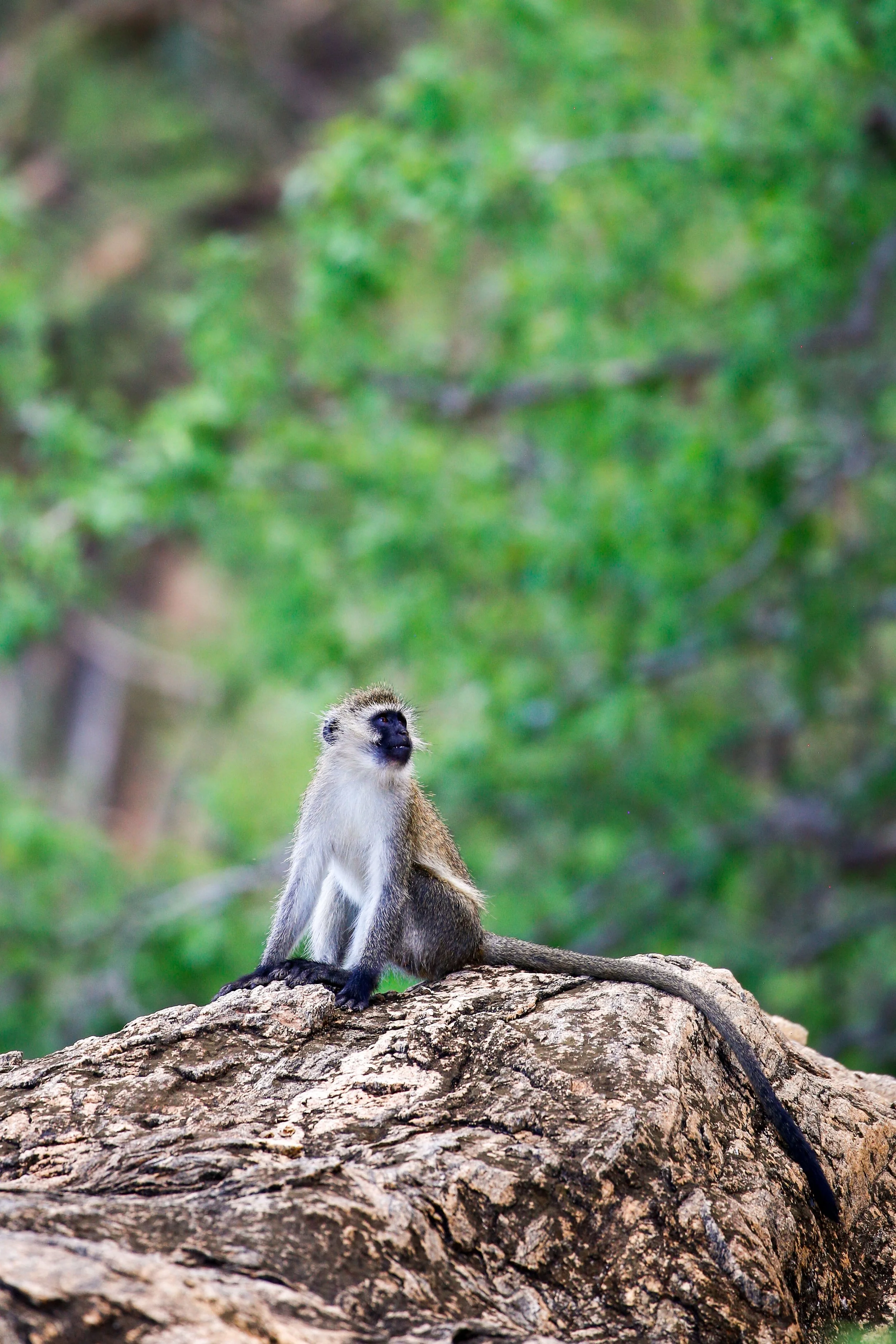 Kenya Selected-006.jpg