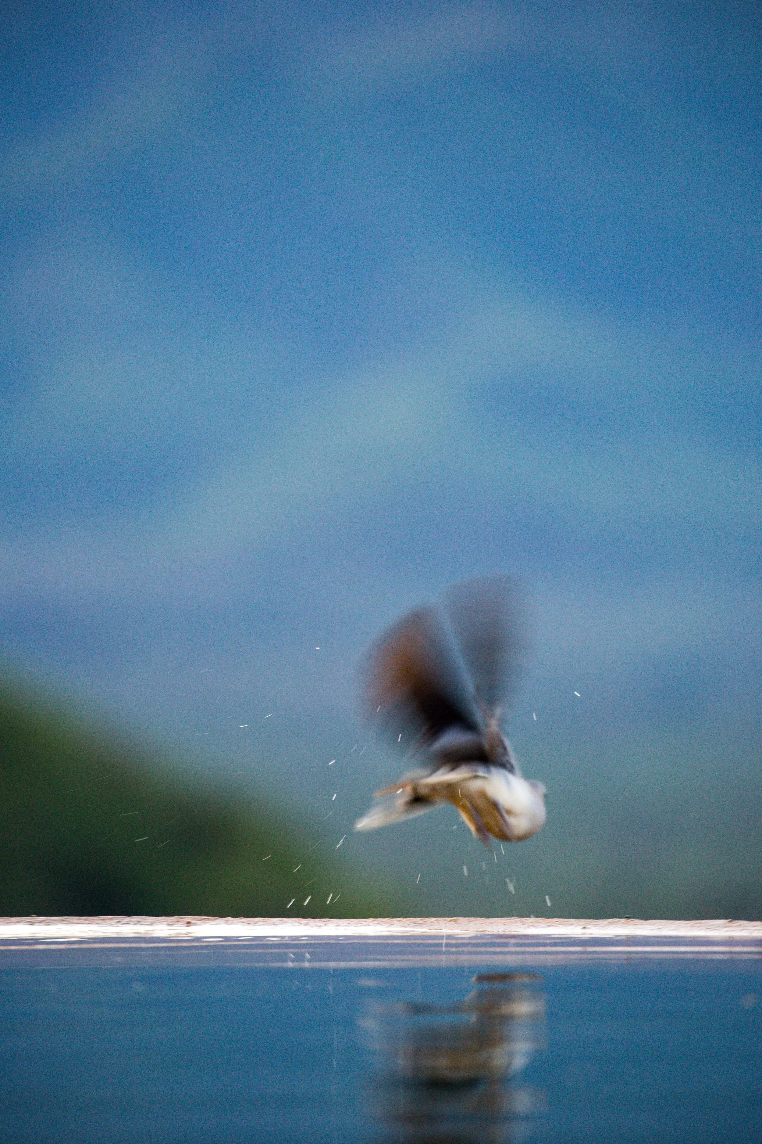 Kenya Selected-012.jpg