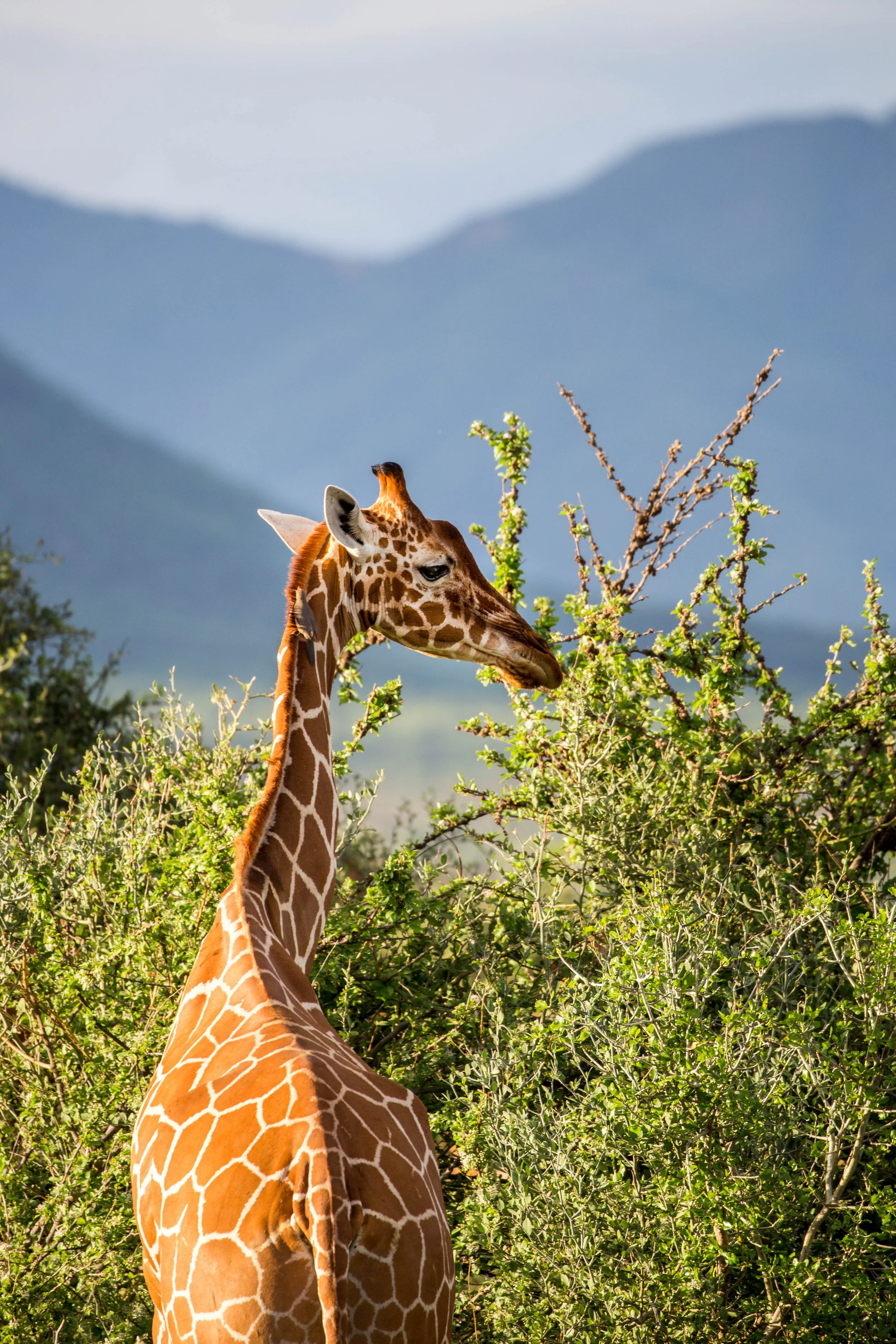 Kenya Selected-013.jpg