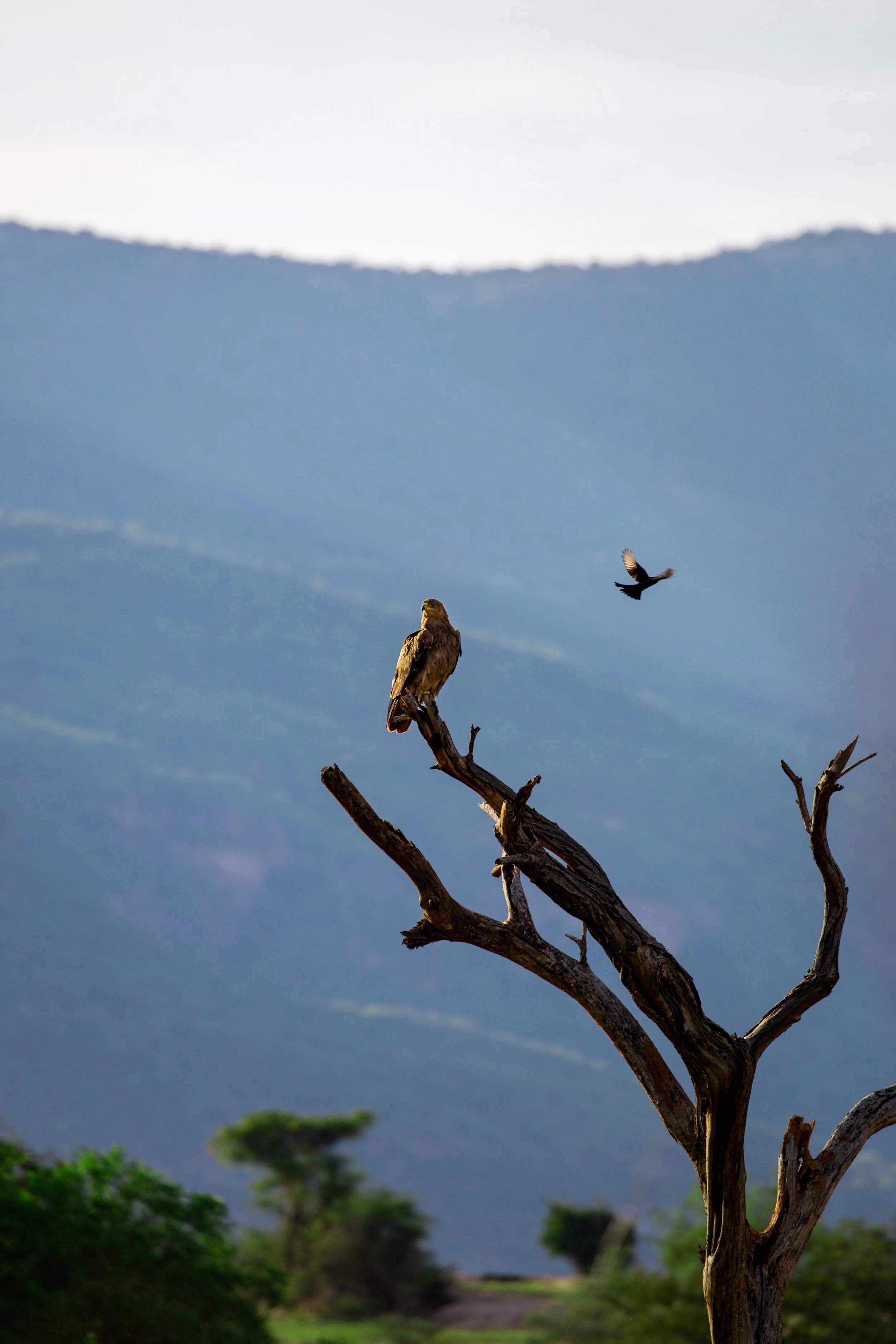 Kenya Selected-014.jpg