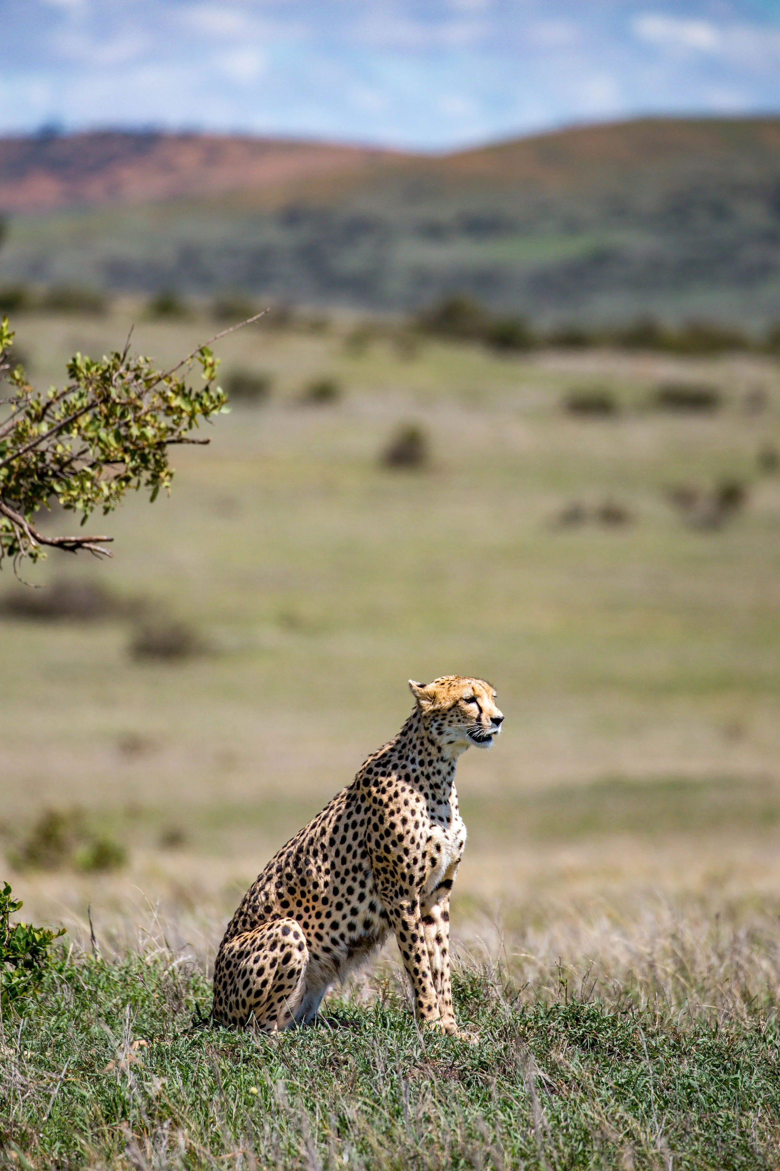 Kenya Selected-016.jpg