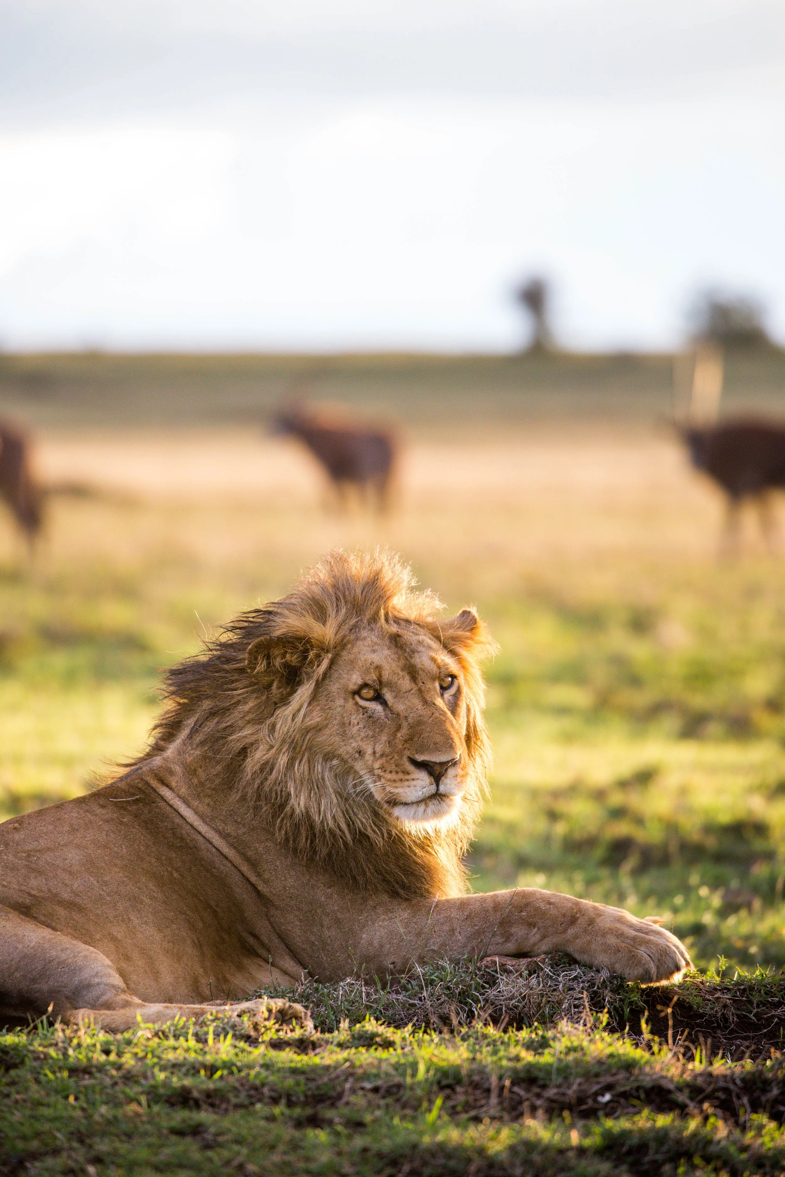 Kenya Selected-018.jpg