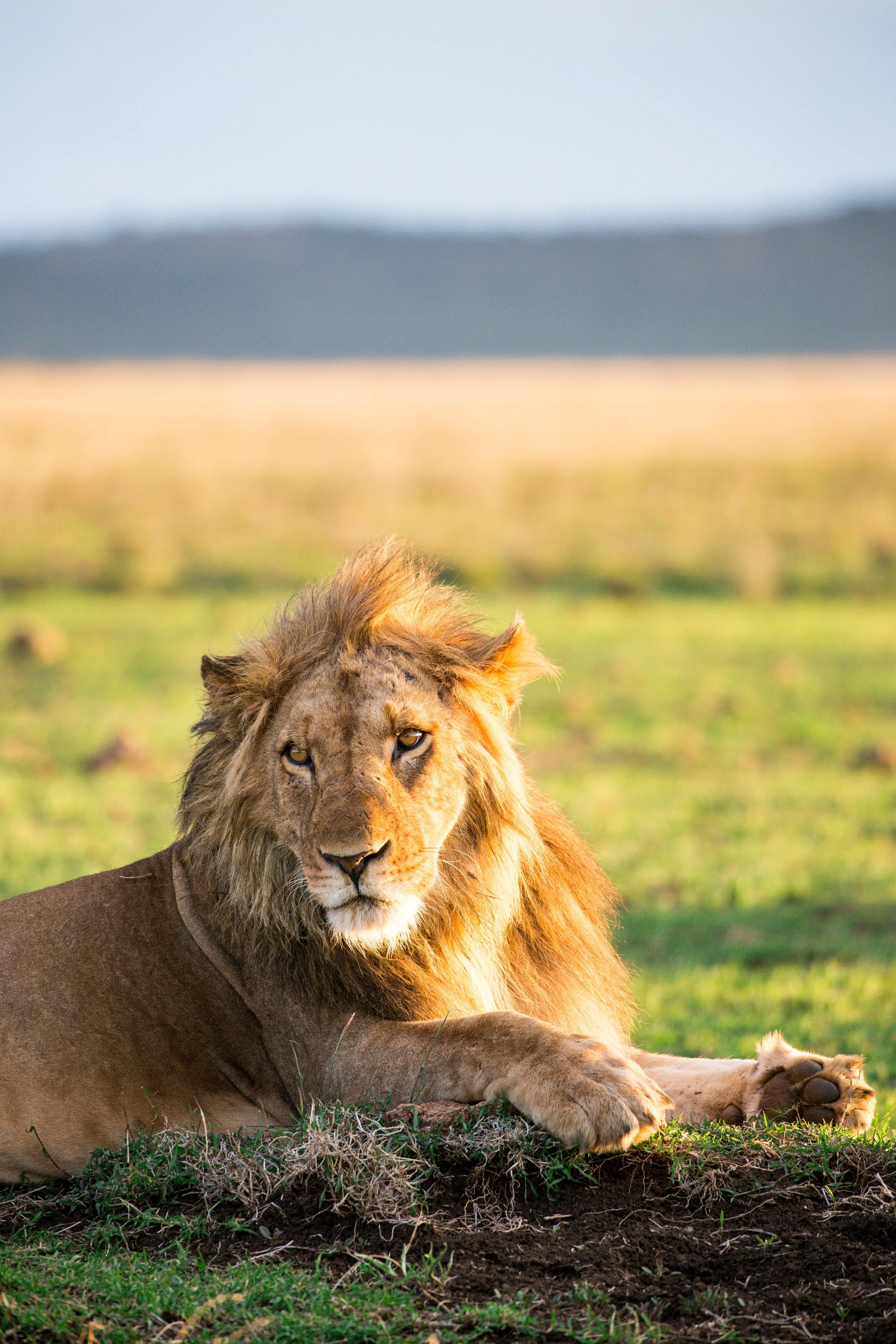 Kenya Selected-019.jpg