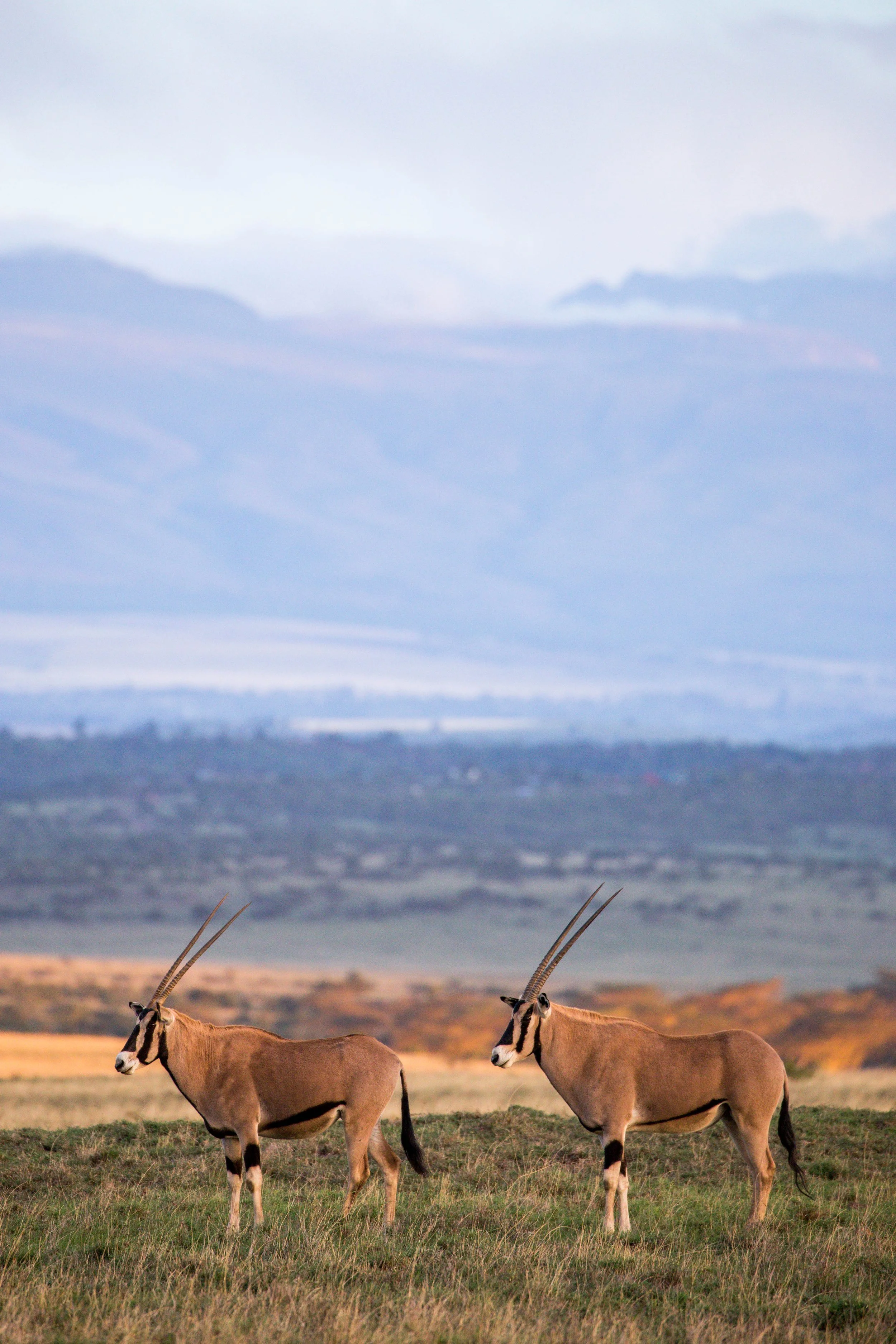 Kenya Selected-022.jpg