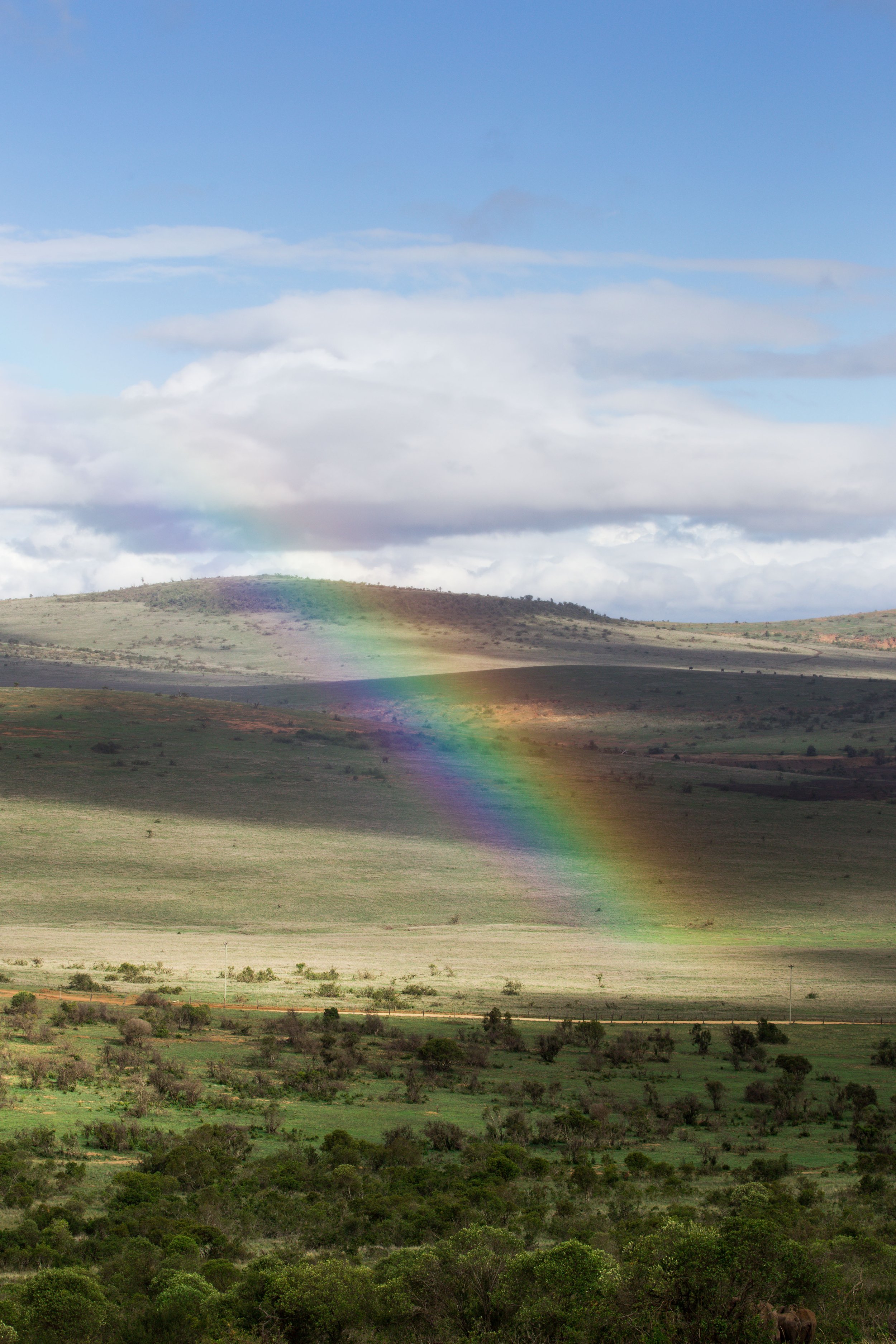 Kenya Selected-023.jpg