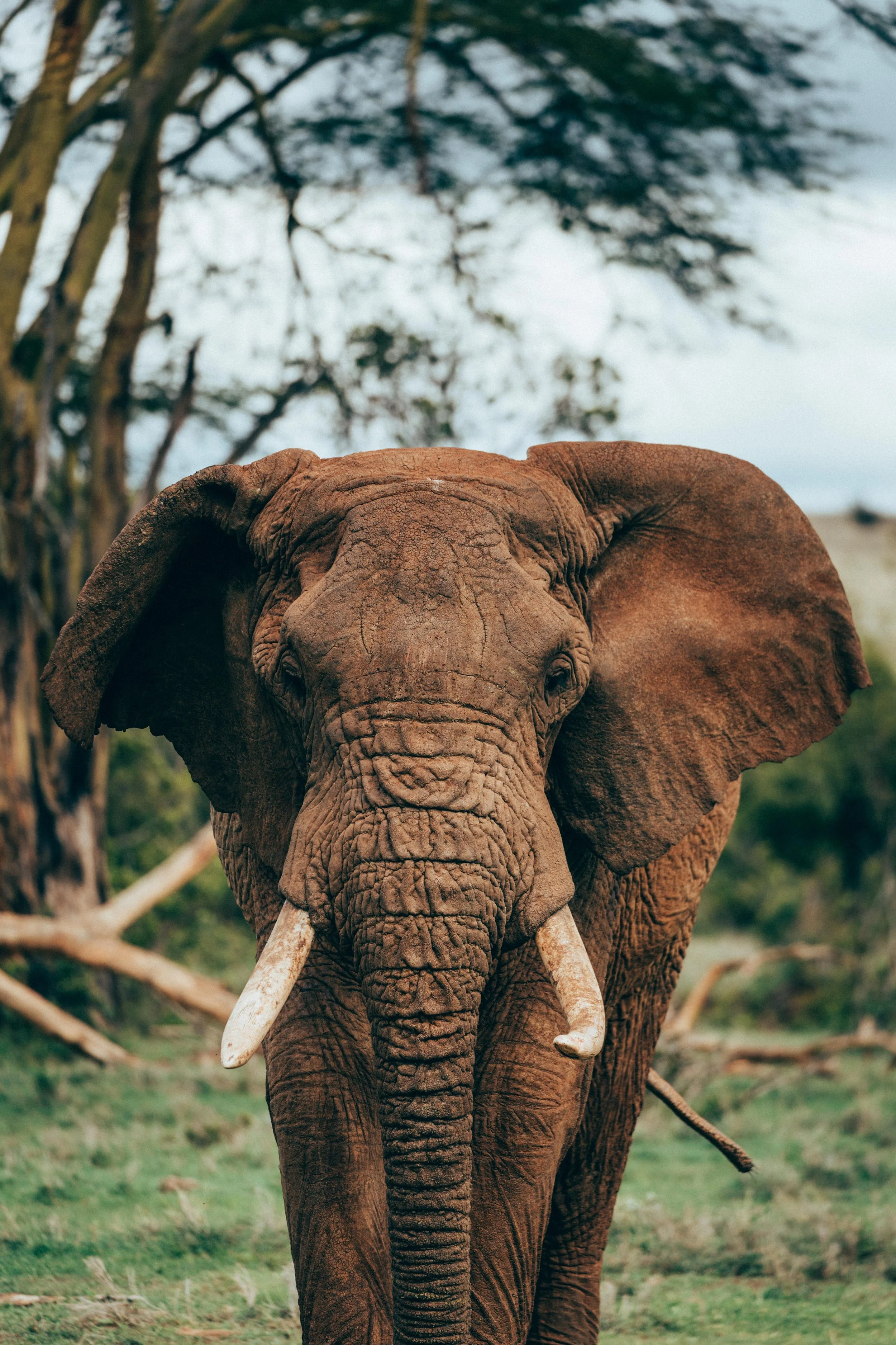 Kenya Selected-026.jpg