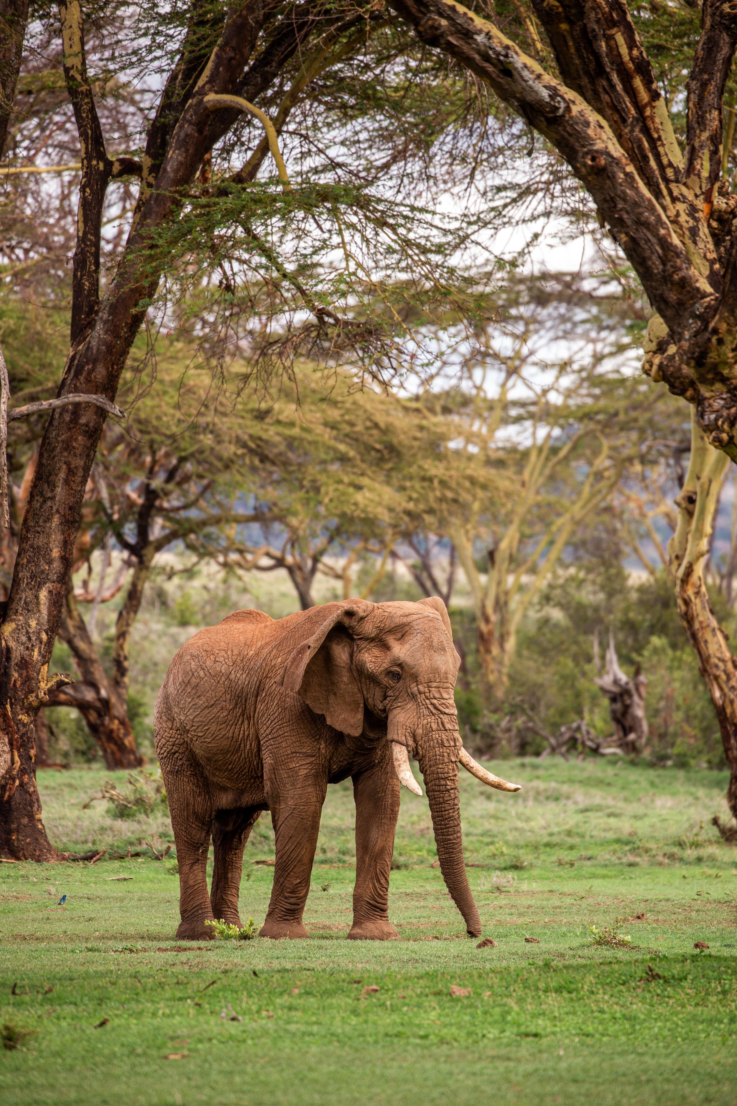 Kenya Selected-025.jpg