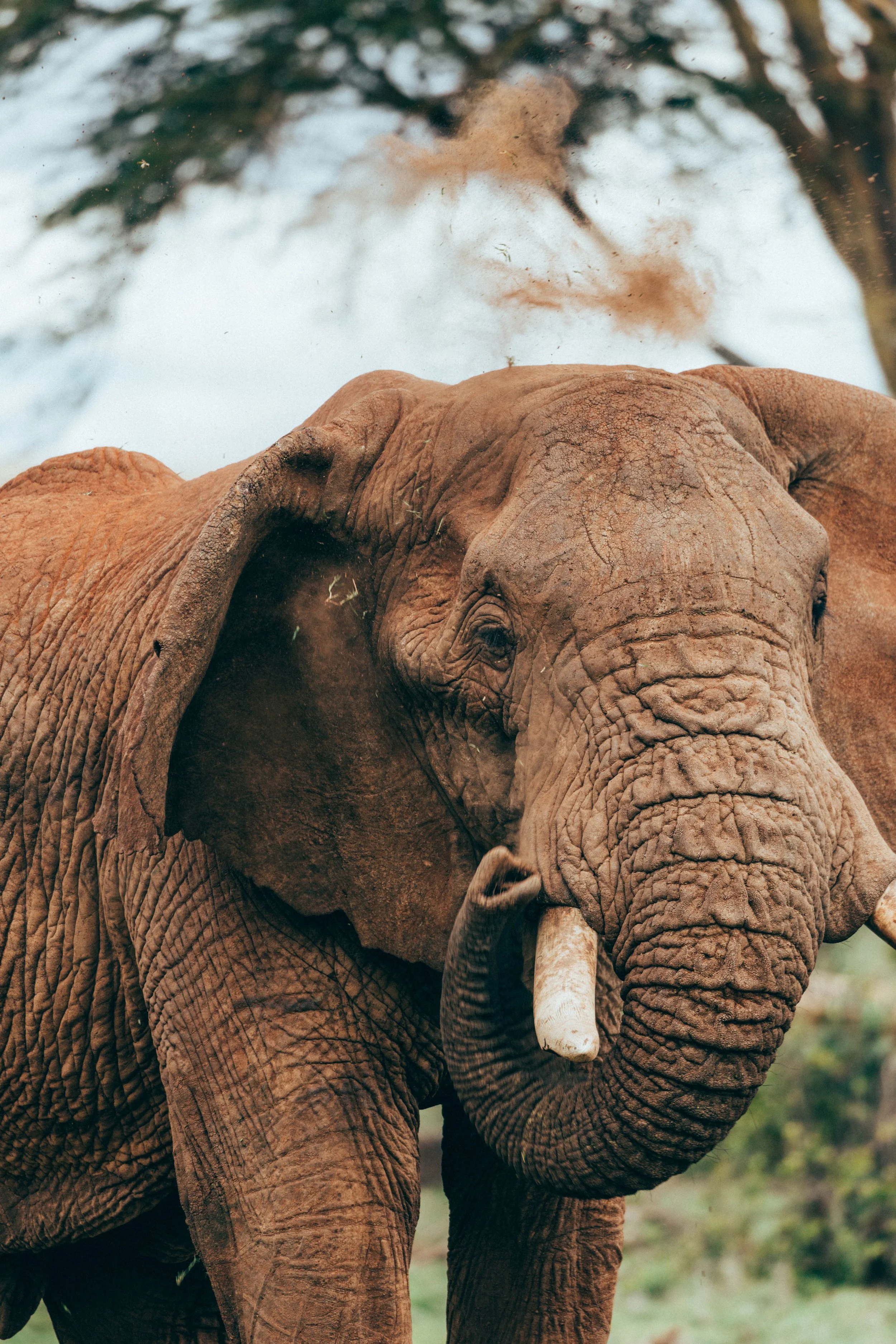 Kenya Selected-028.jpg