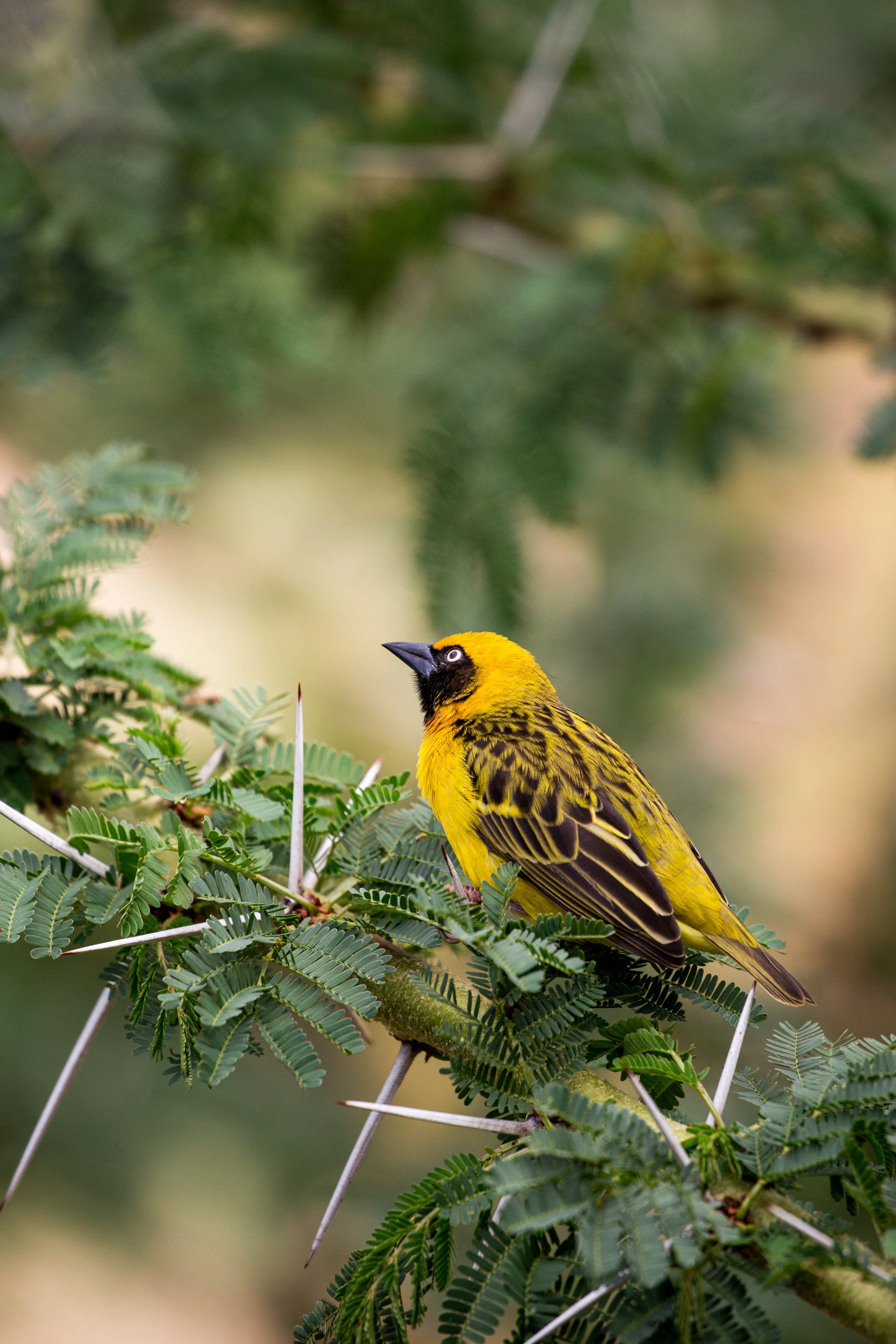 Kenya Selected-030.jpg