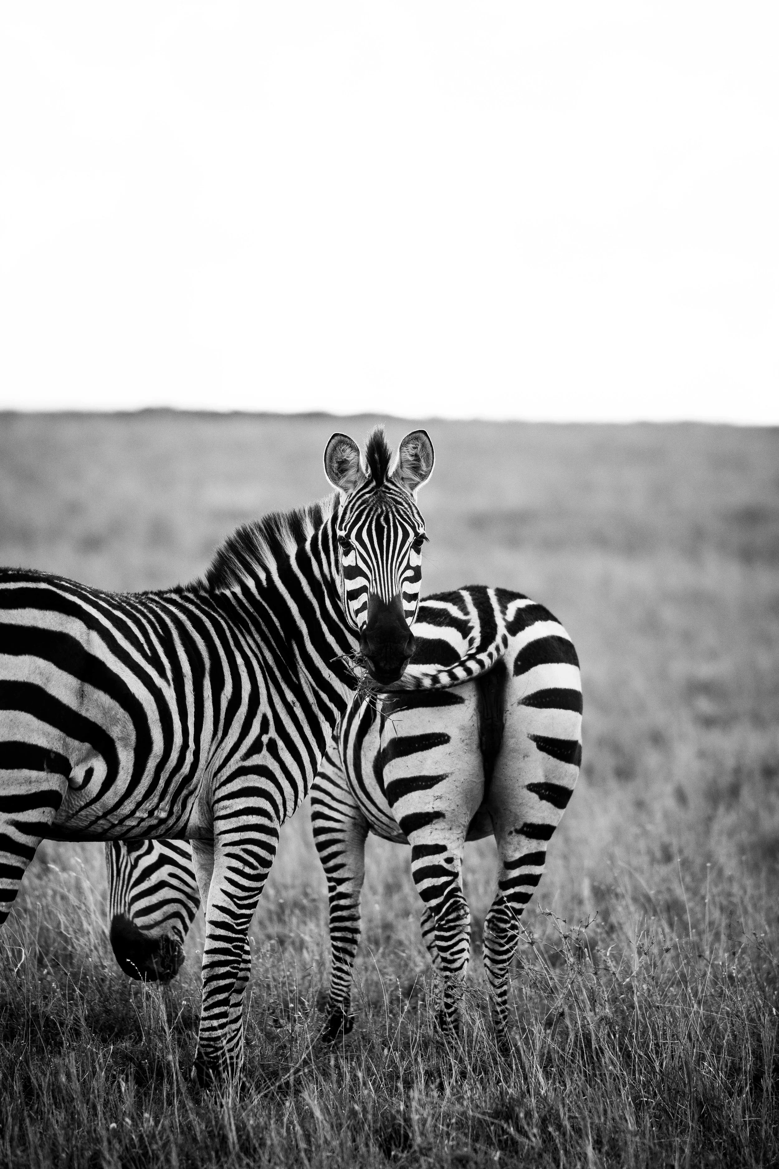 Kenya Selected-031.jpg