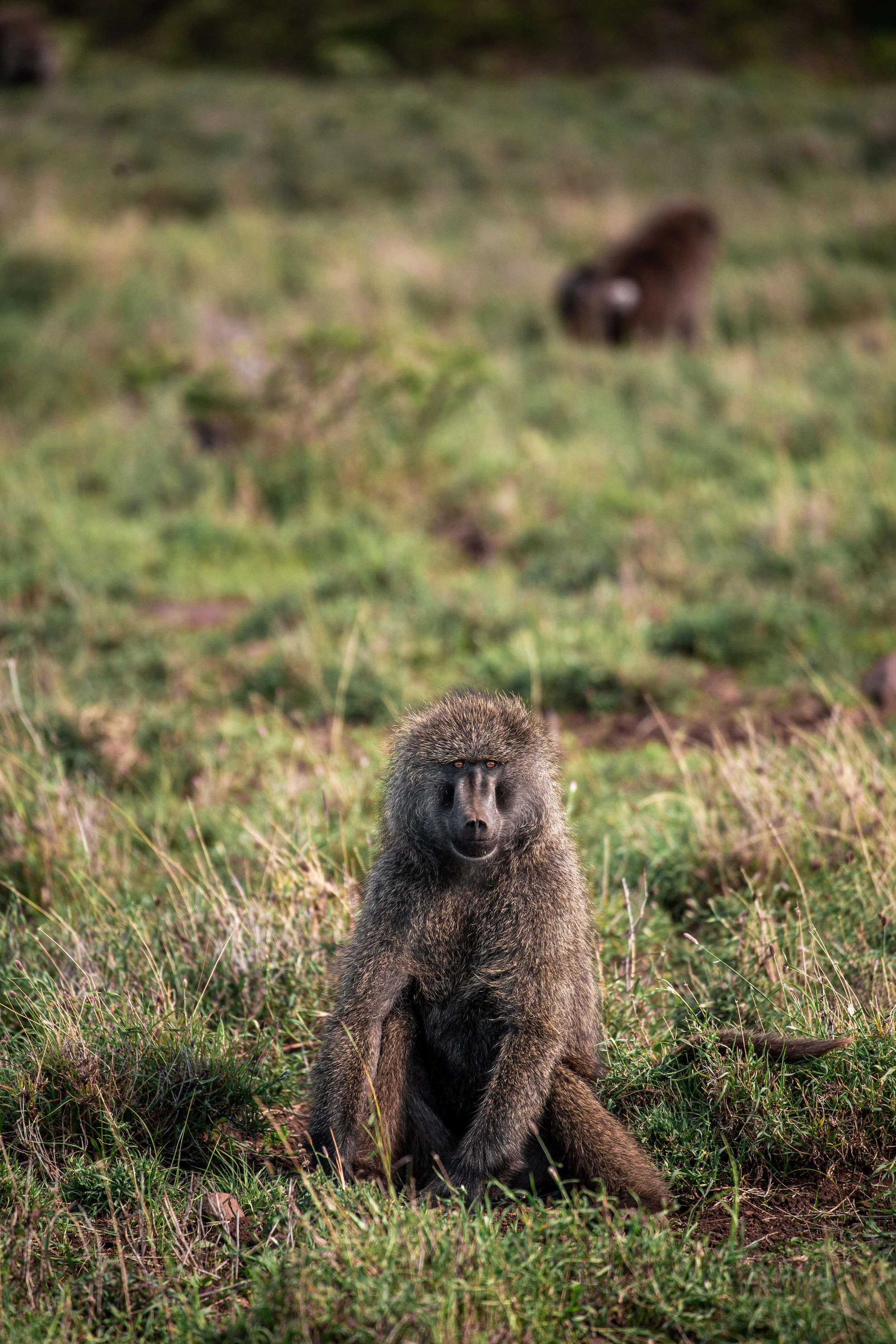 Kenya Selected-032.jpg