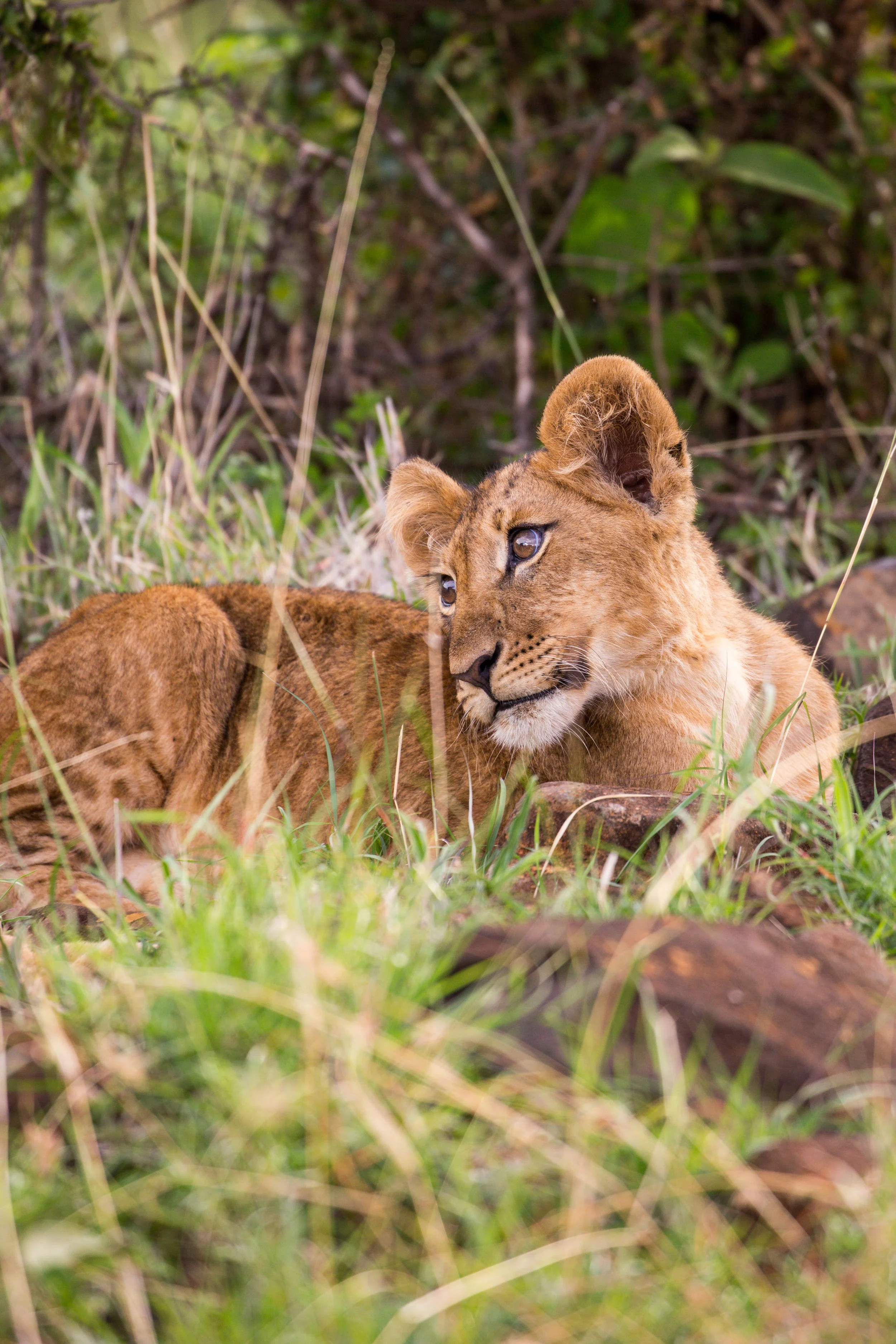 Kenya Selected-033.jpg