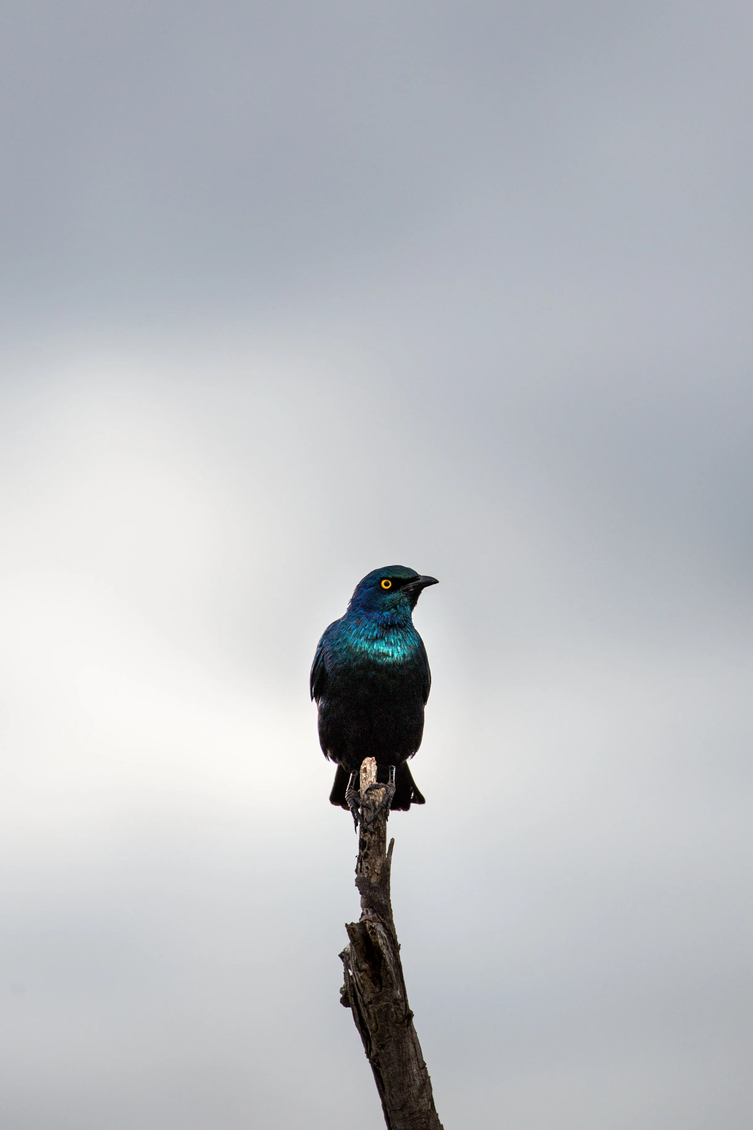 Kenya Selected-034.jpg