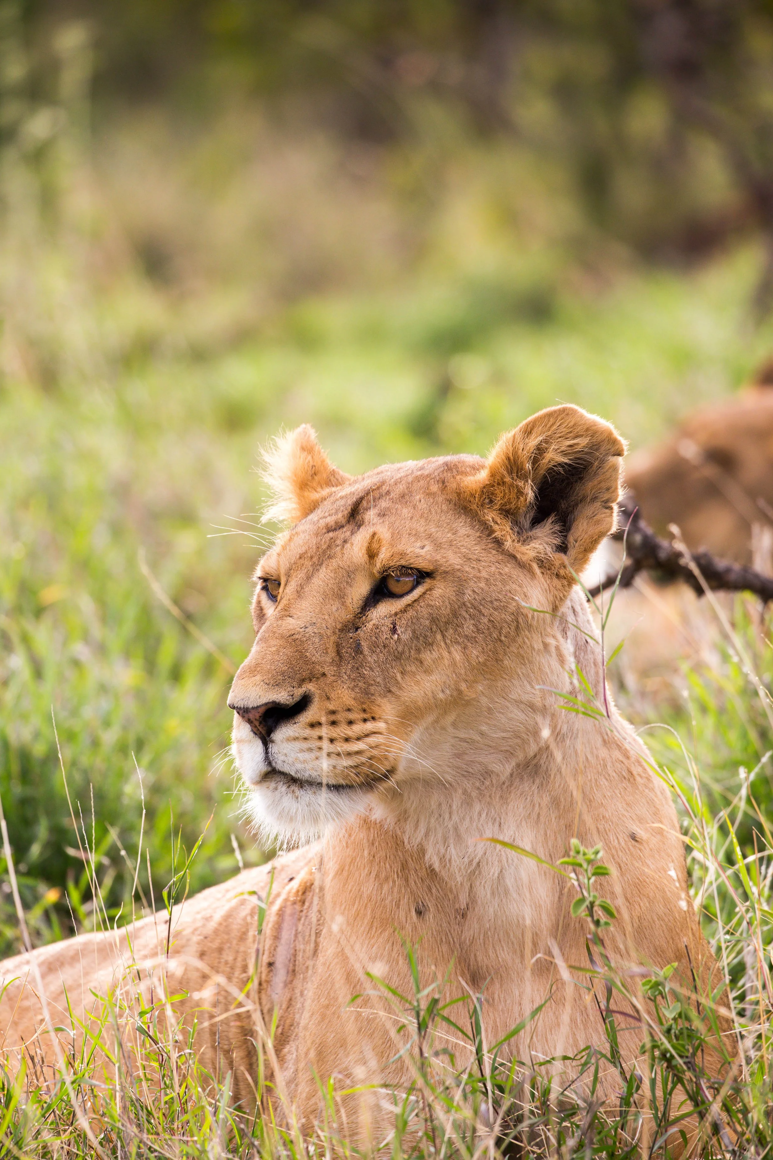 Kenya Selected-039.jpg