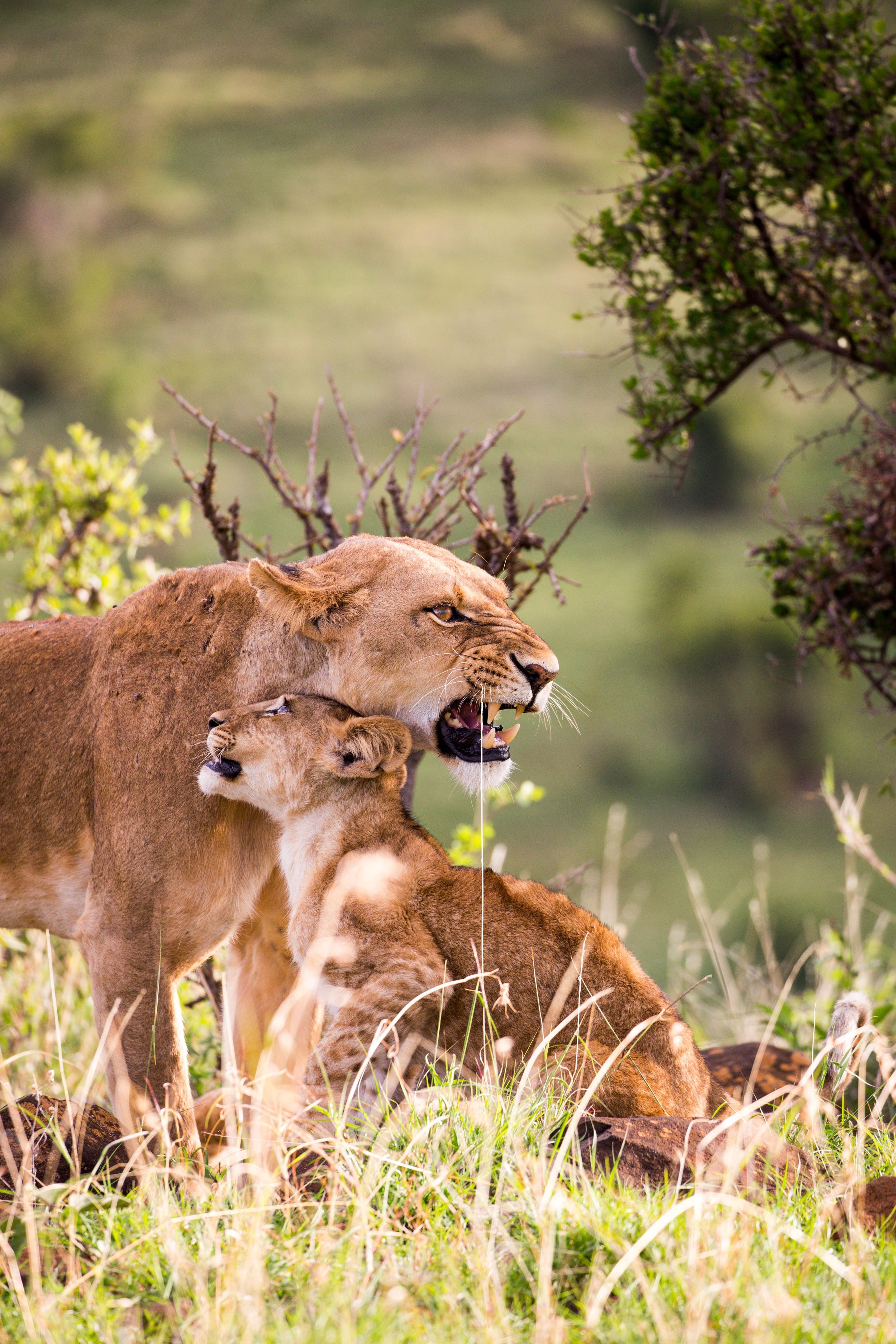 Kenya Selected-041.jpg