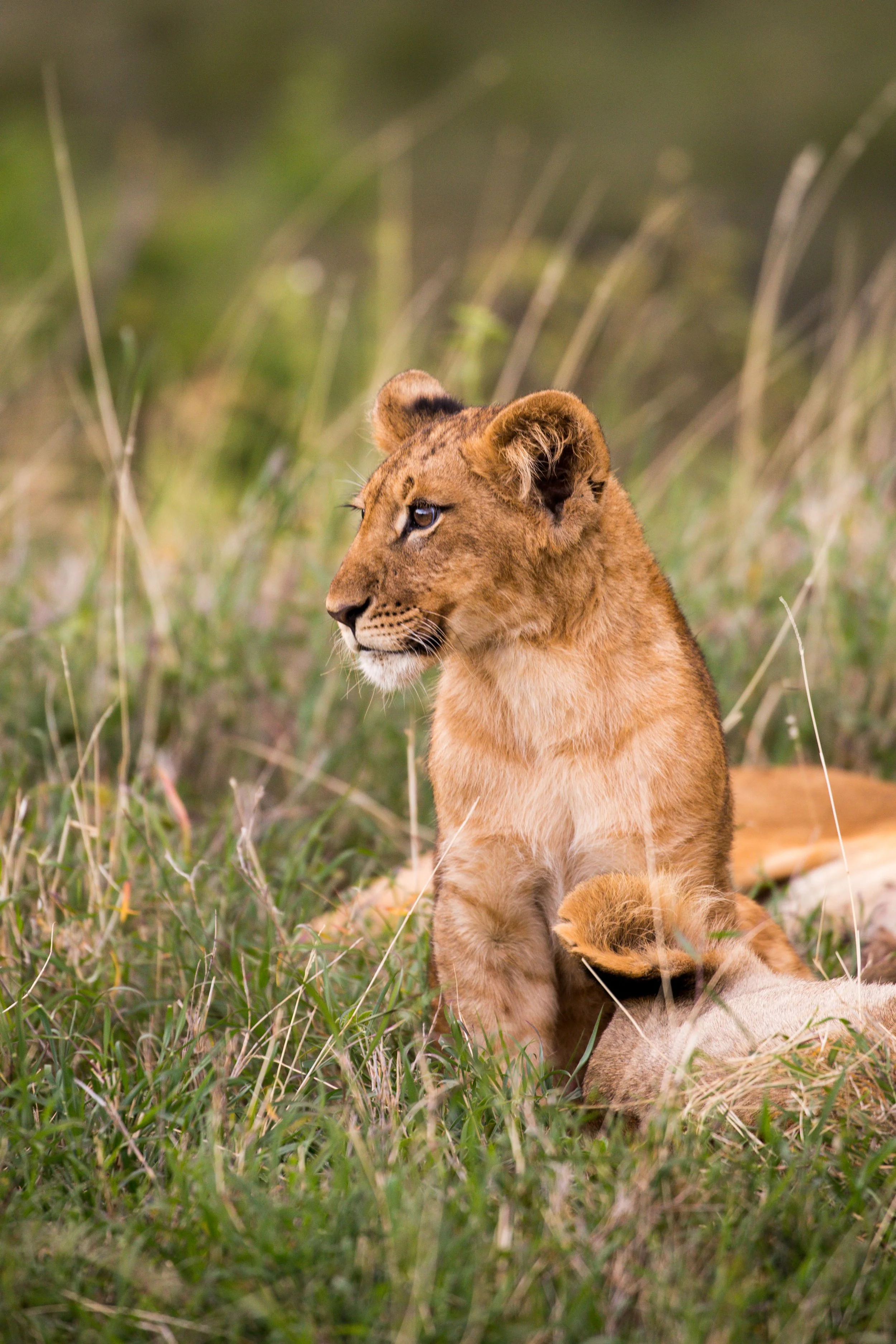 Kenya Selected-042.jpg