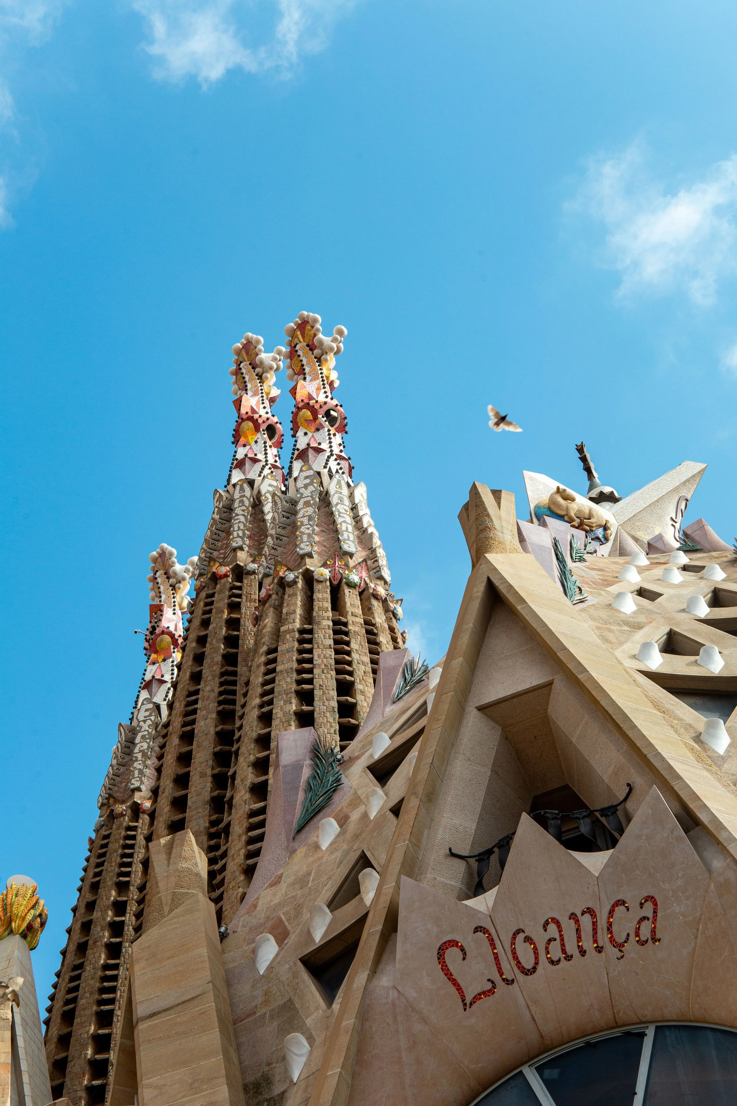 Barcelona Selected-11.jpg