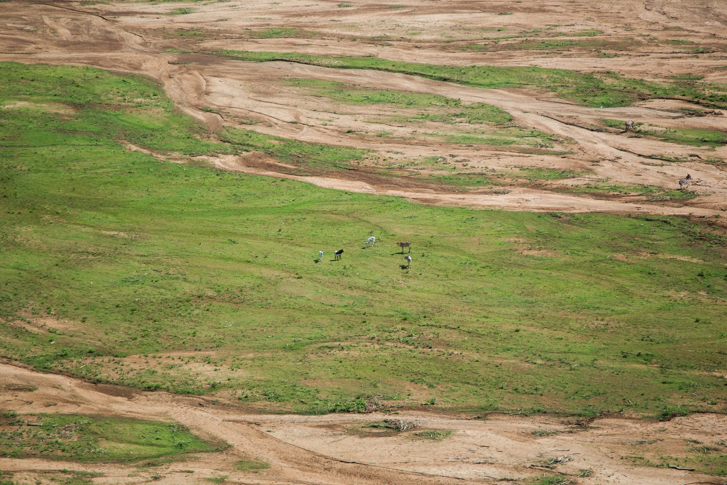 Borana 2025-059.jpg