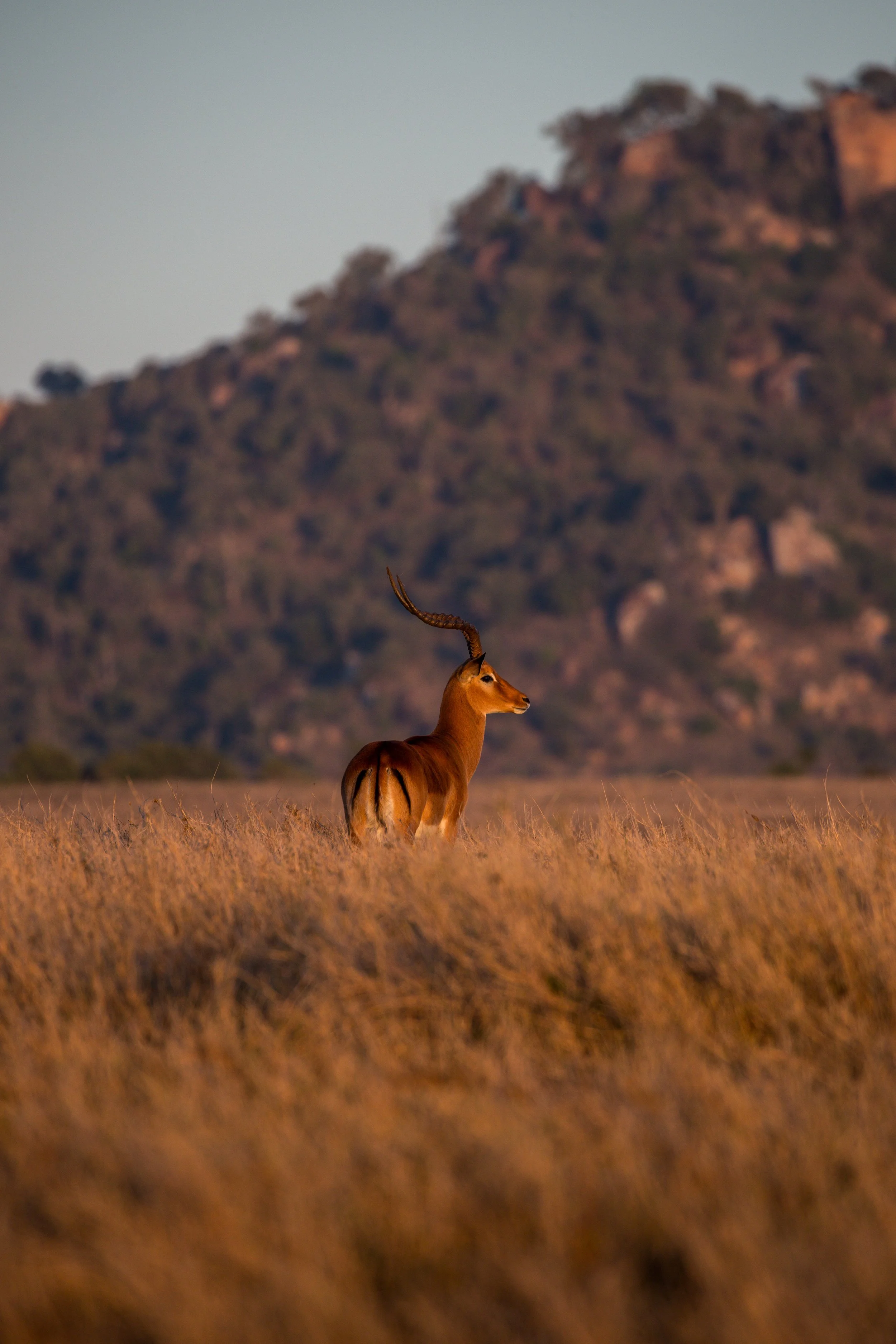 Borana 2025-105.jpg