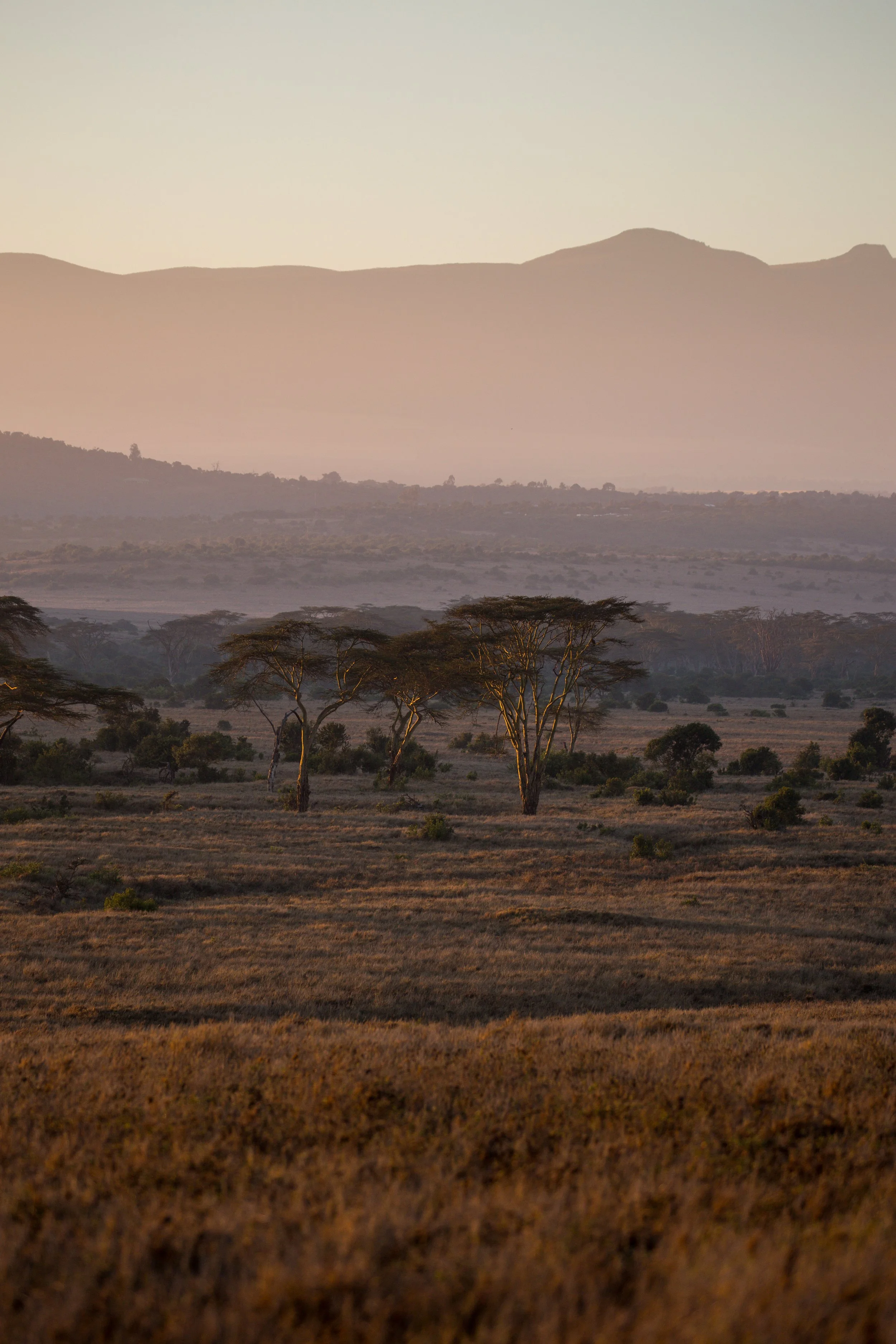 Borana 2025-106.jpg