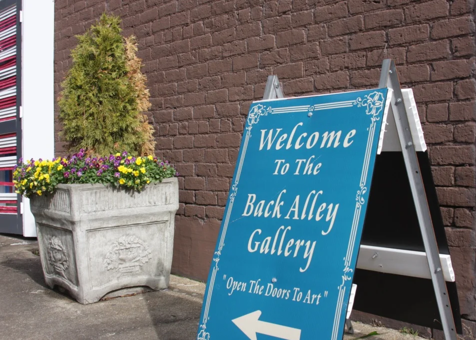 Back Alley Gallery An open-air art gallery, with eclectic lighting, especially beautiful at night. First Street, NE, between Ocoee and Church Streets Website