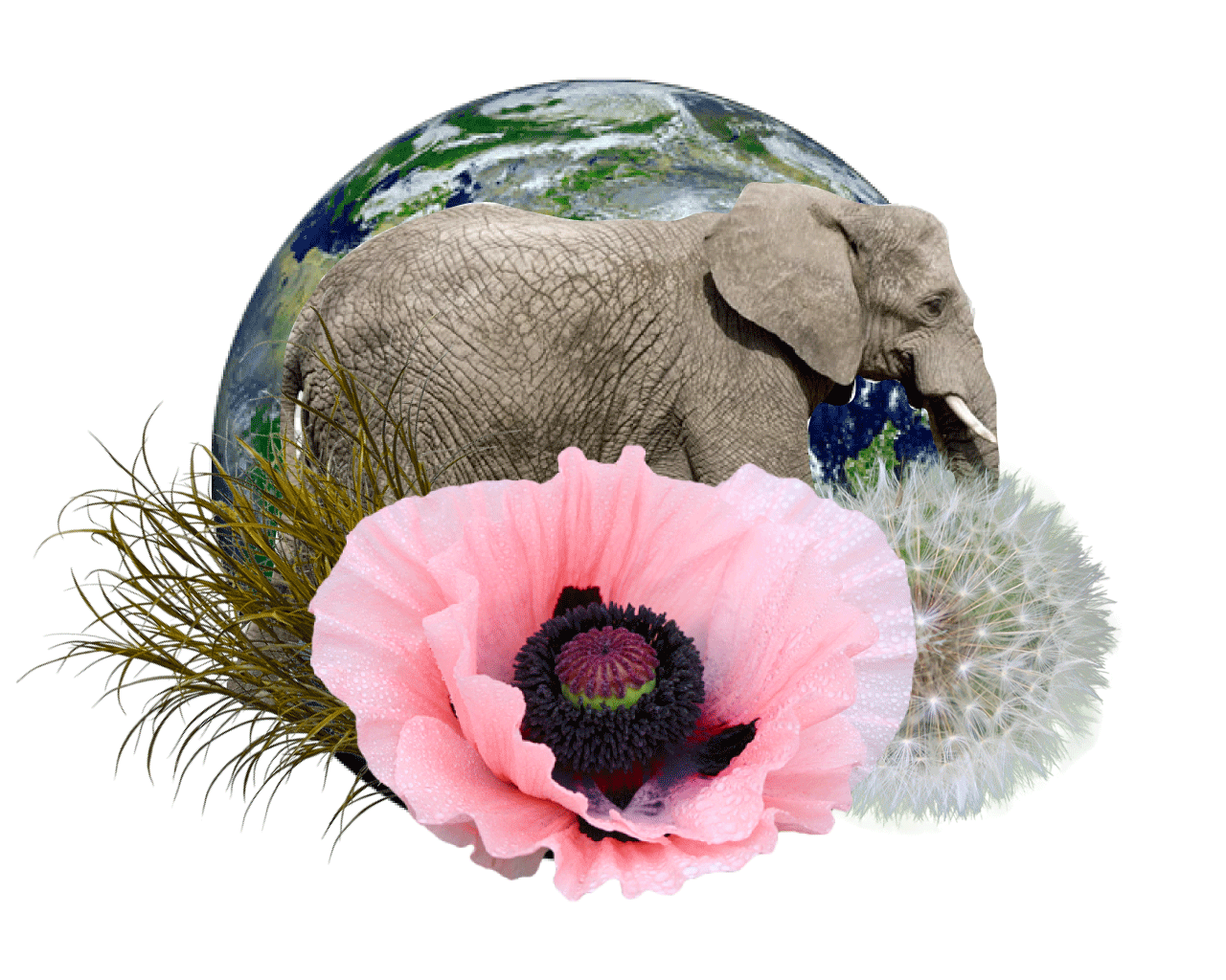 Energy Horoscopes for March 19 - March 26th