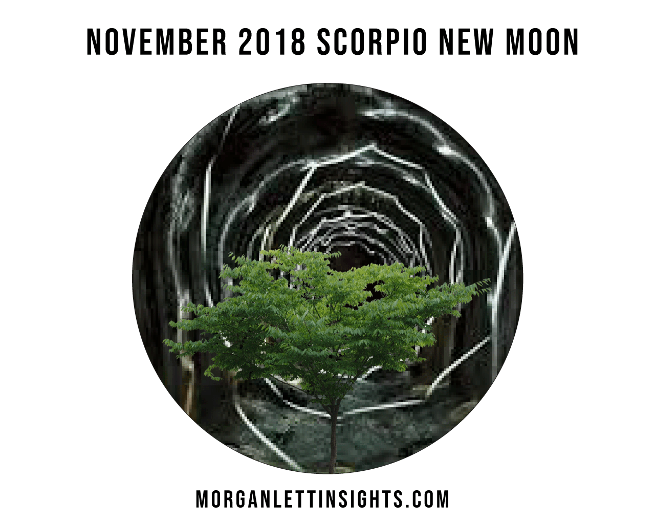 scorpio-new-moon-2018-.gif