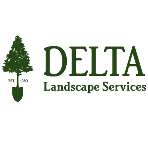 Delta Logo White (1).png