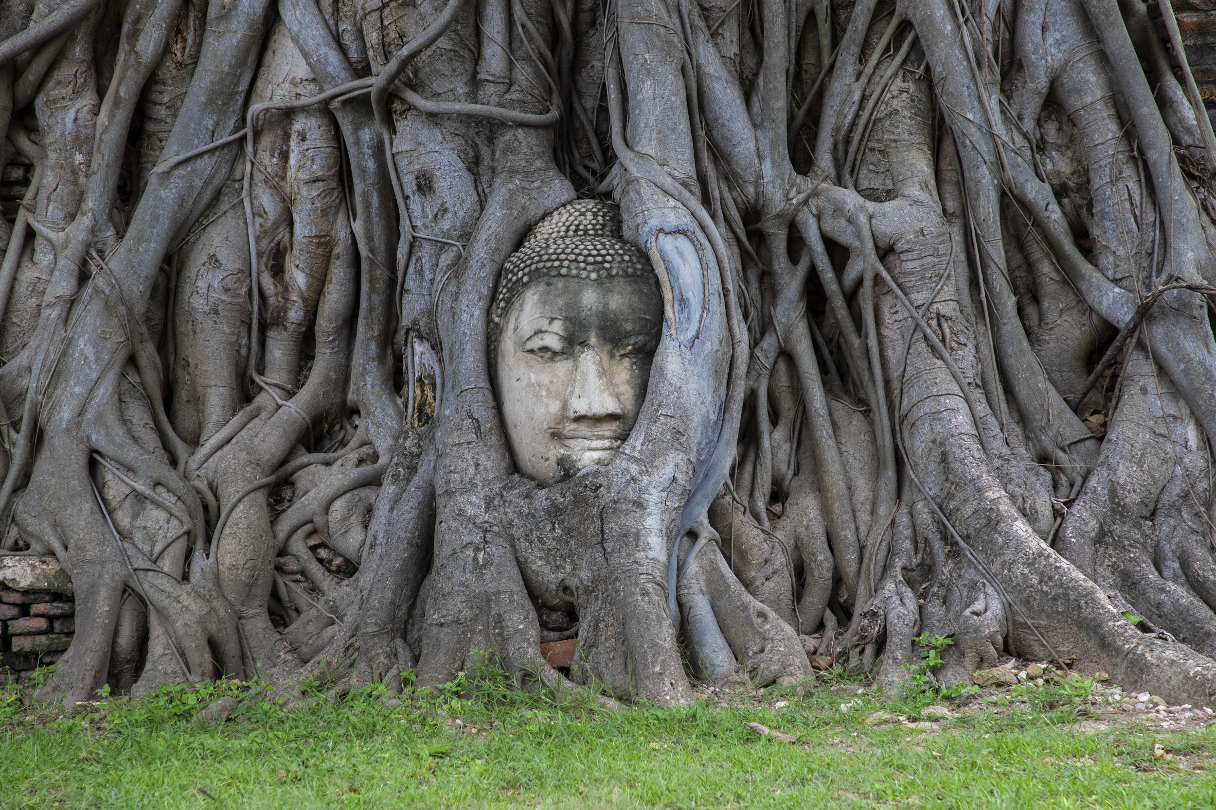 THAILAND-PICS_72.jpg