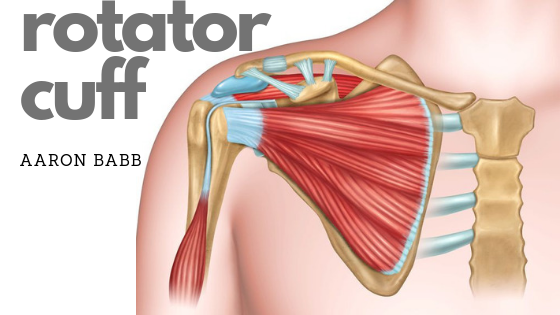 Rotator Cuff Shoulder Injury