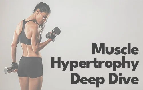 A Deep Dive Into How to Create Muscle Hypertrophy