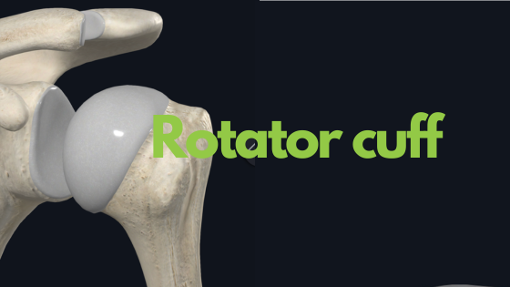 Understanding Rotator Cuff Tears