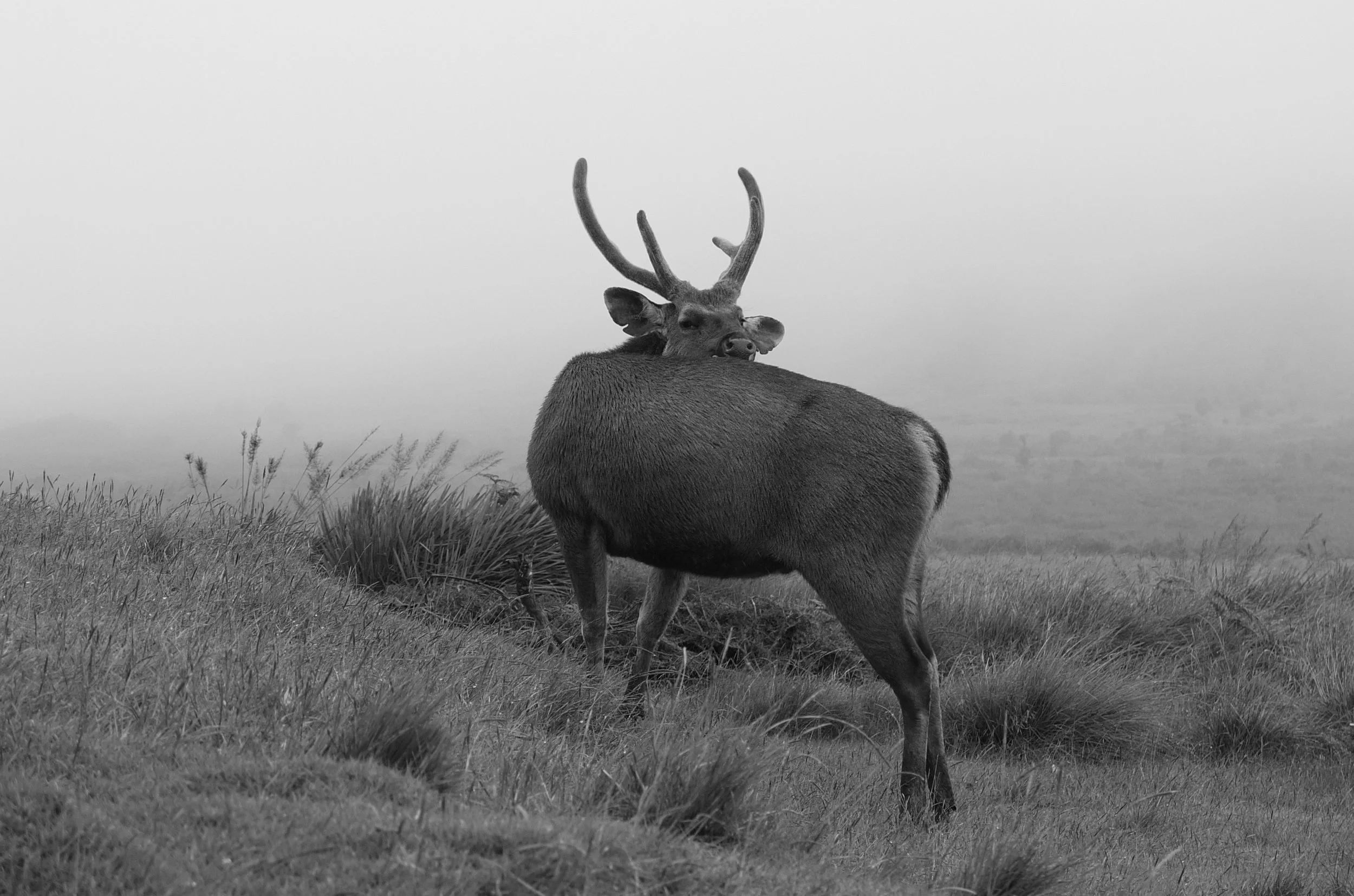 DSCF6415-2.JPG