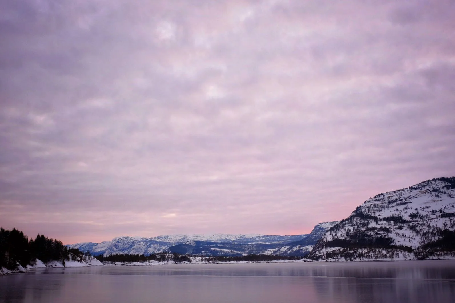 WhatsApp Image 2018-02-06 at 21.59.11.jpeg