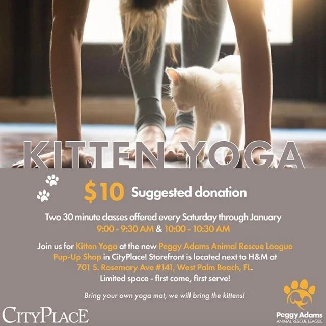 Looking for a fun way to stay fit and healthy? How about a yoga lesson, with kittens! Check out Kitten Yoga every Saturday this month. Classes are 30 minutes long, and start at 9 a.m. and 10 a.m. Be sure to bring your own yoga mat, but Peggy Adams An