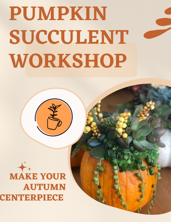 Pumpkin%25252Bsucculents%25252BWorkshop.png