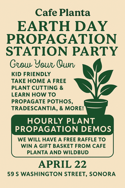 Cafe Planta - Earth Day