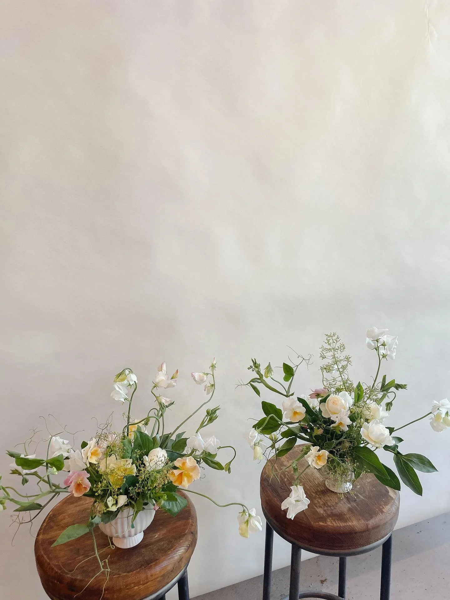 Happy Monday all, we hope you are enjoying your summer. 
Keep an eye out for our fall workshop season being released on the website soon. We are very excited about another season of learning and communing with you all. 🌿