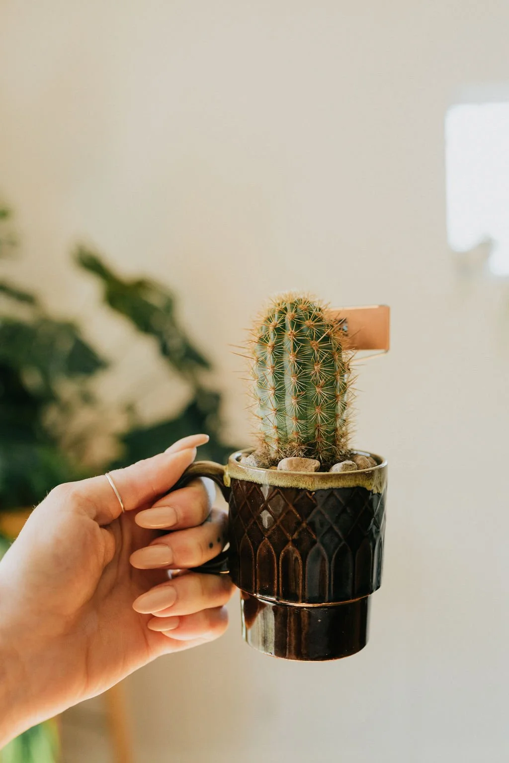 Catcus in a Vintage Mug Workshop with Cafe Planta