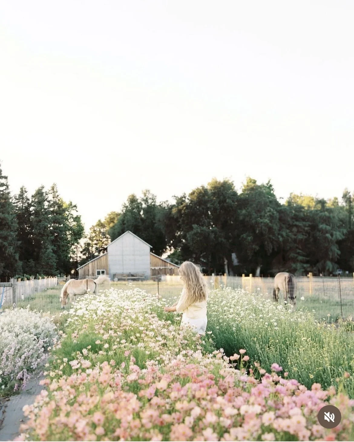 Blooming Local: How Wildbud Floral Co Grows with Our Farmers
