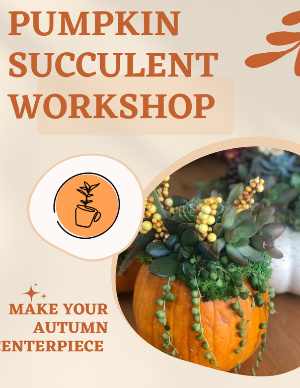 Oct. 10th - Pumpkin Succulent Workshop with Cafe Planta