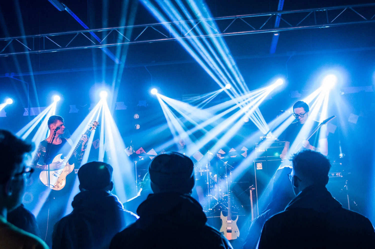 20190330_roheline-saal_kannabinõid_-2.jpg