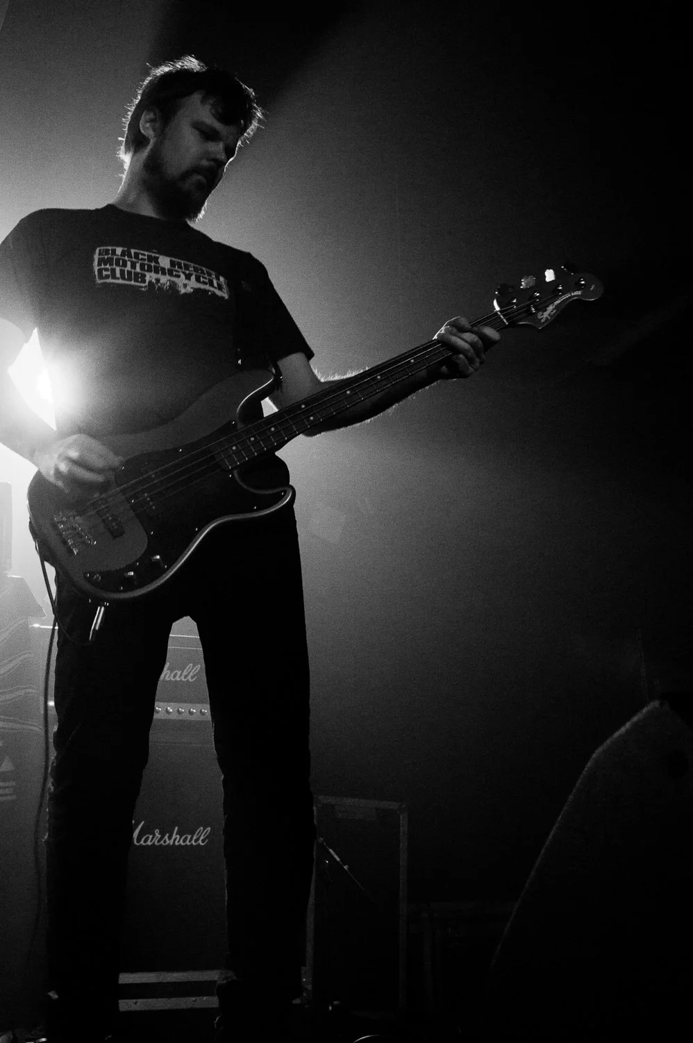 20190330_roheline-saal_pedigree_-90.jpg
